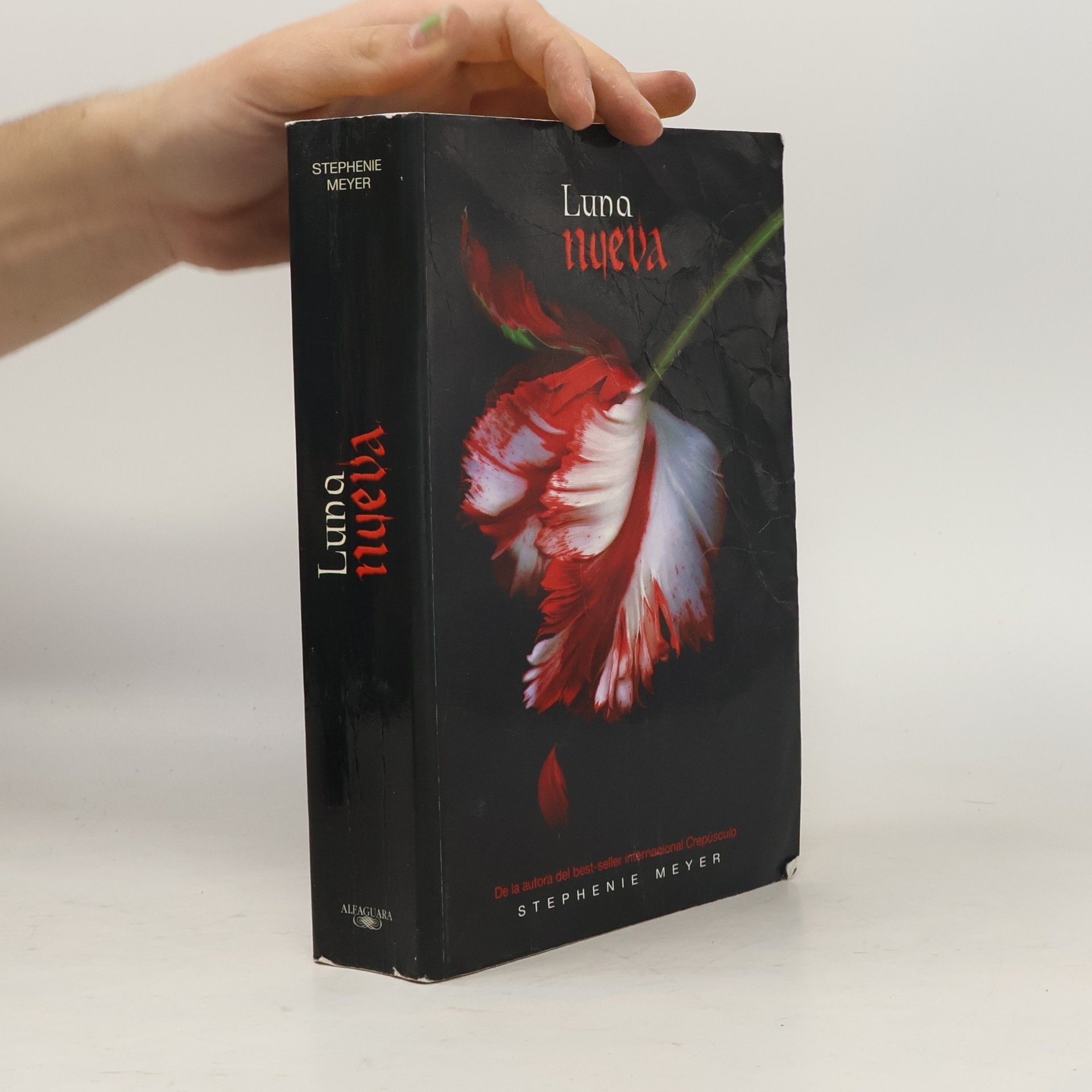 Stephenie Meyer Luna nueva