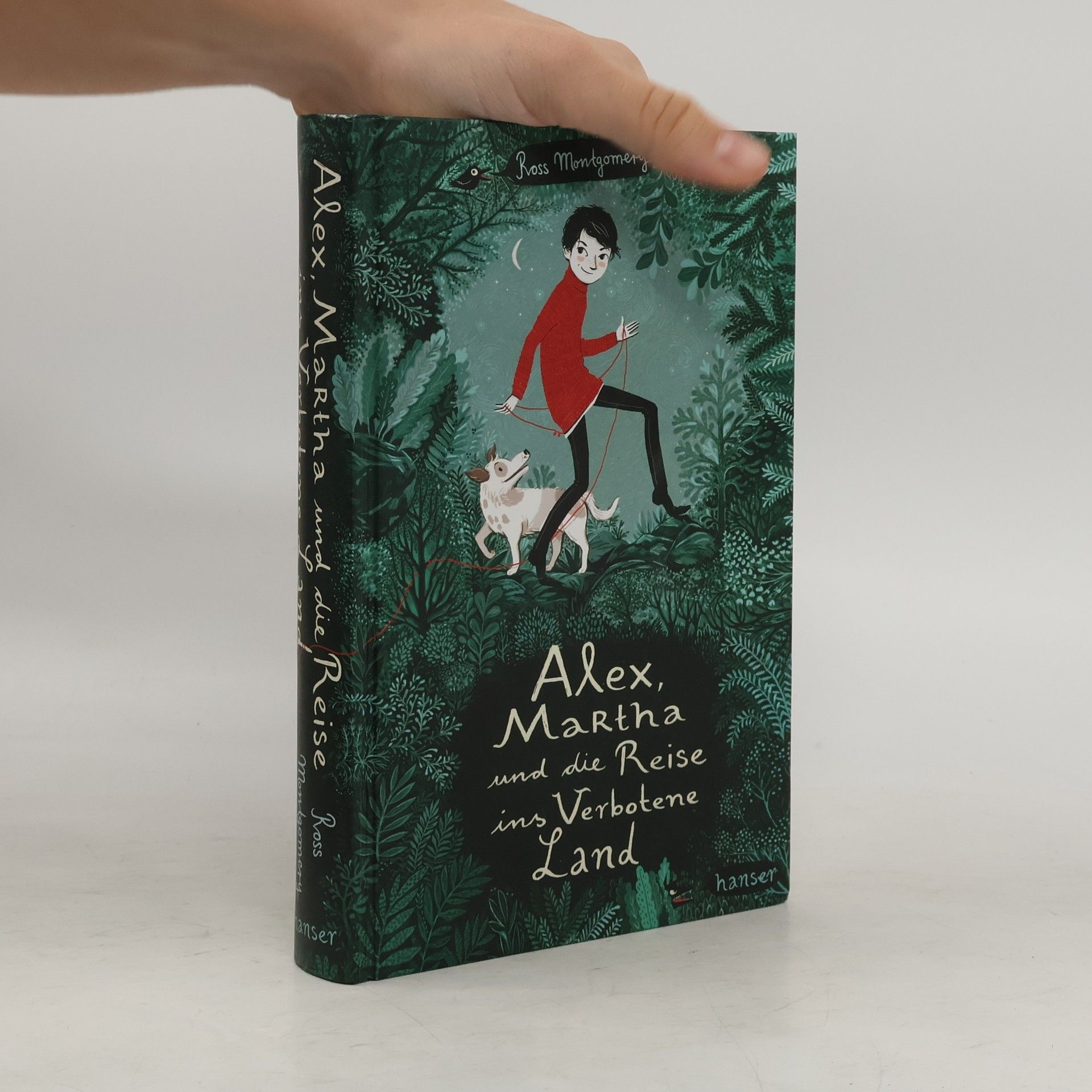 Ross Montgomery Alex, Martha und die Reise ins Verbotene Land