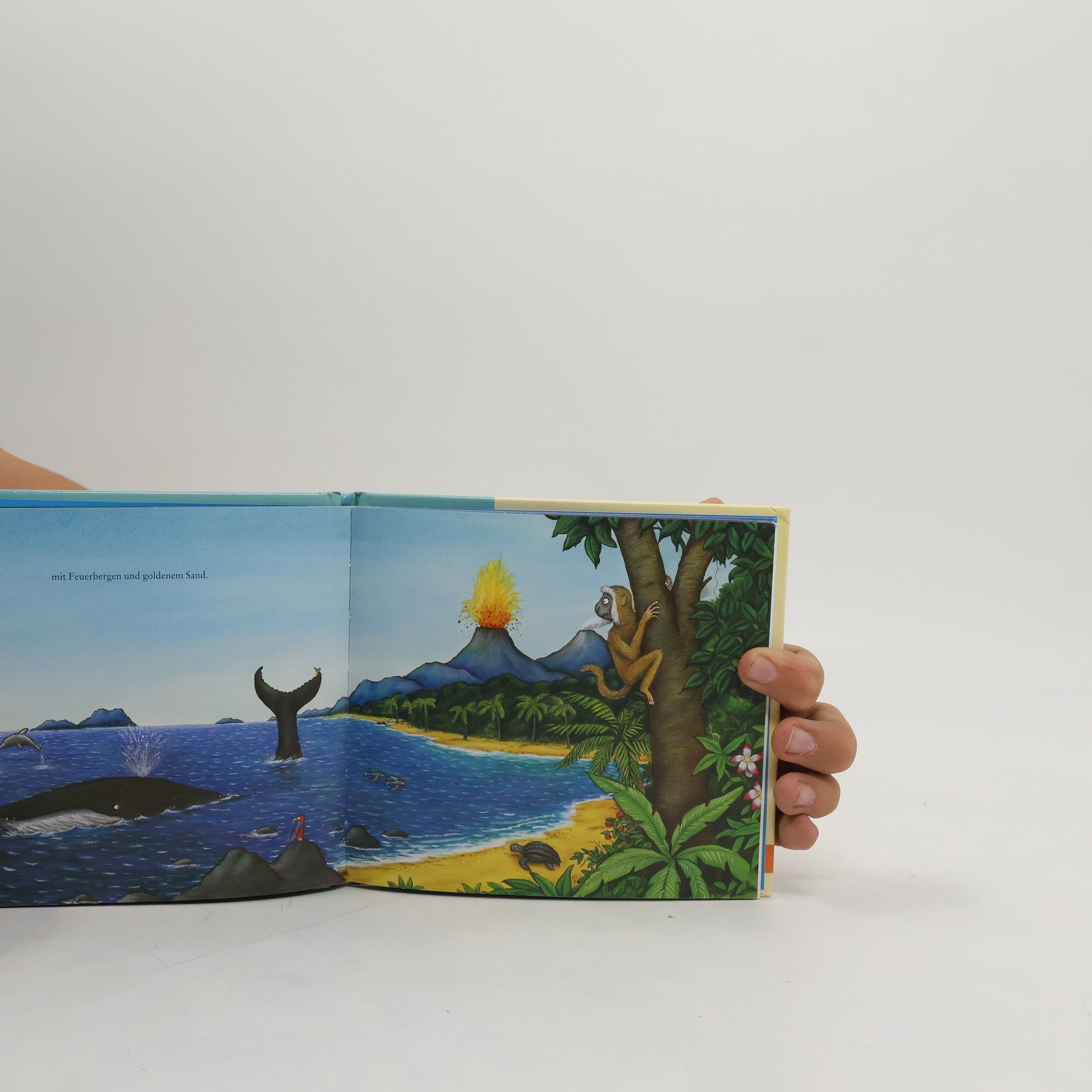 Axel Scheffler Die Schnecke und der Buckelwal