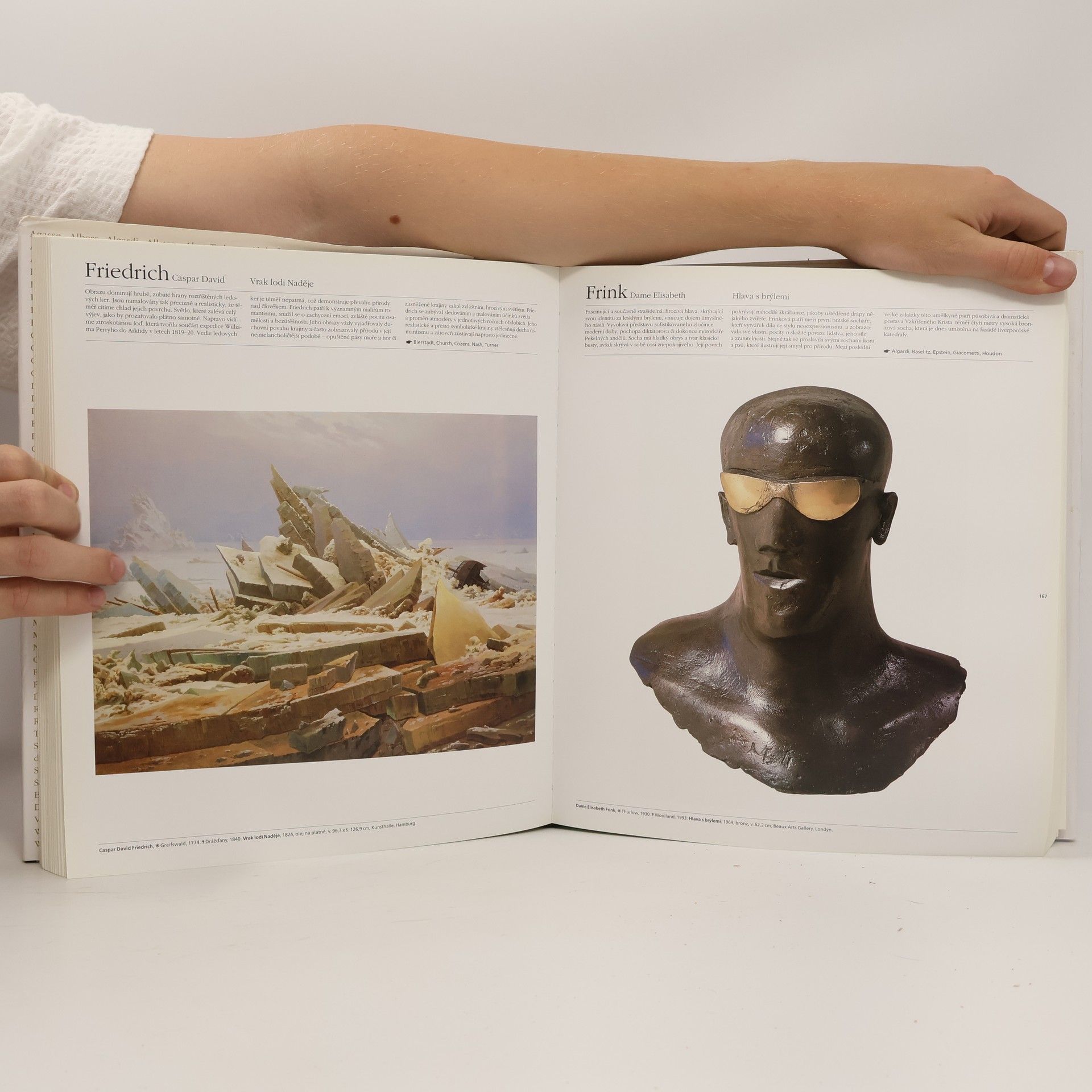 Various authors Velká kniha výtvarného umění = The Art Book