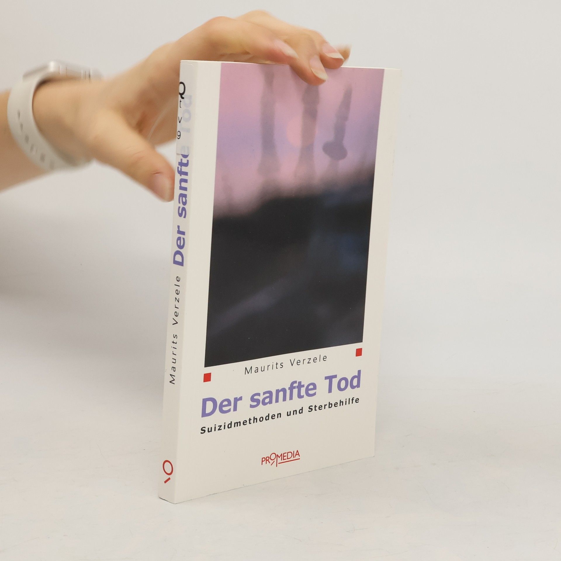 Maurits Verzele Der sanfte Tod