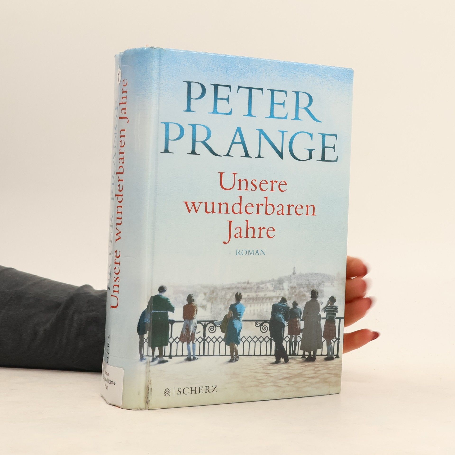 Peter Prange Unsere wunderbaren Jahre