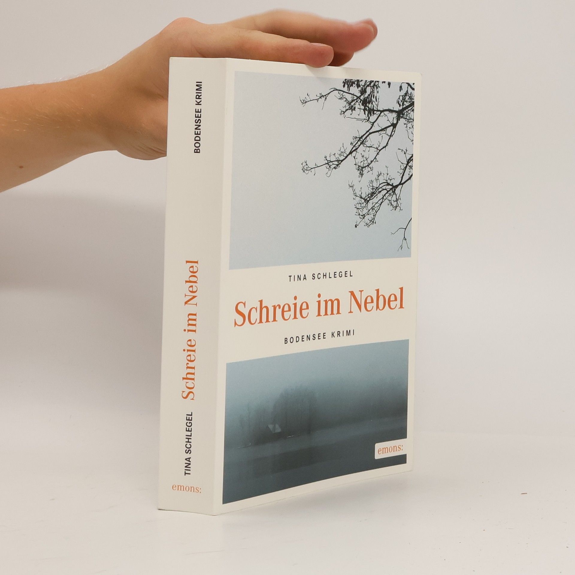 Tina Schlegel Schreie im Nebel