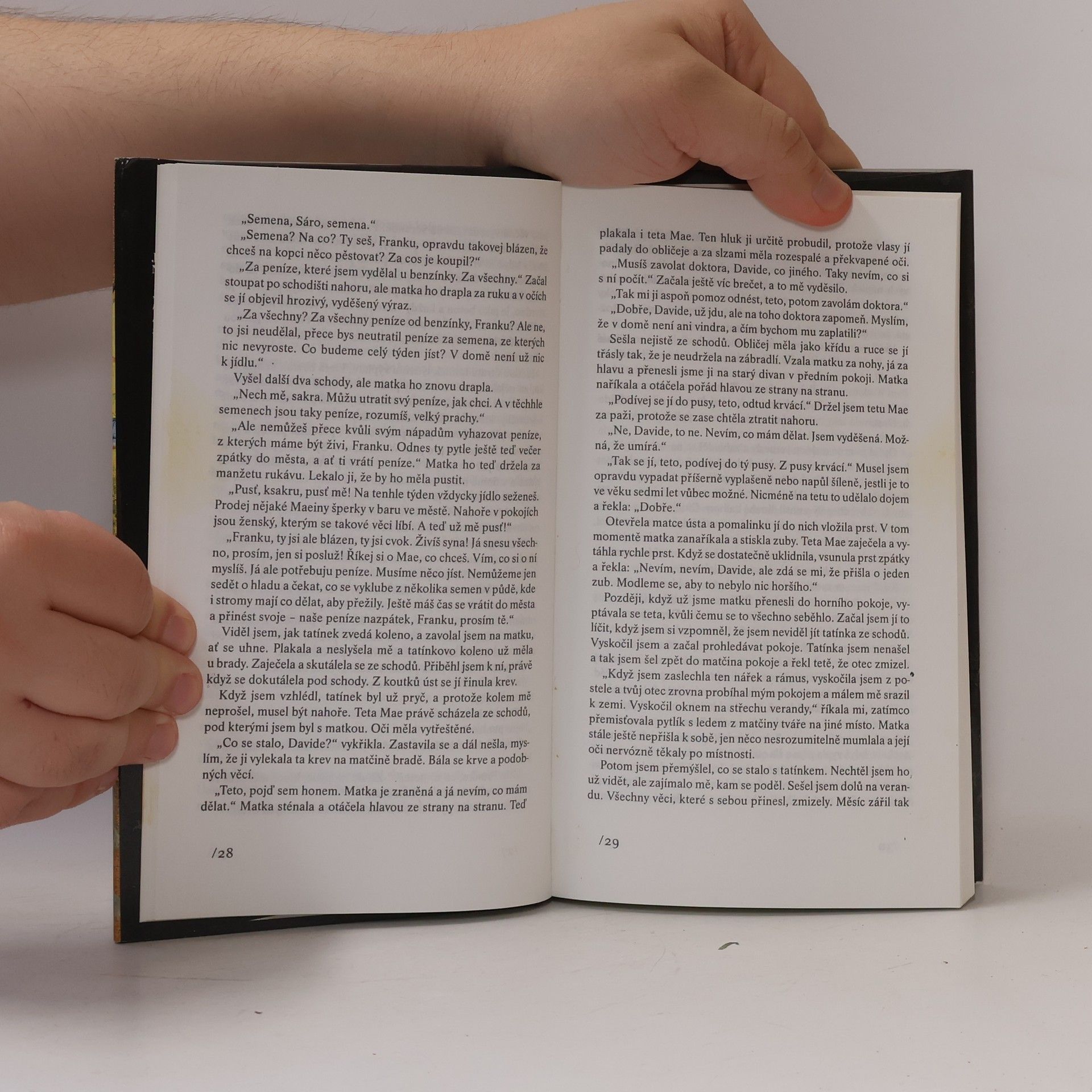 John Kennedy Toole Neónová bible