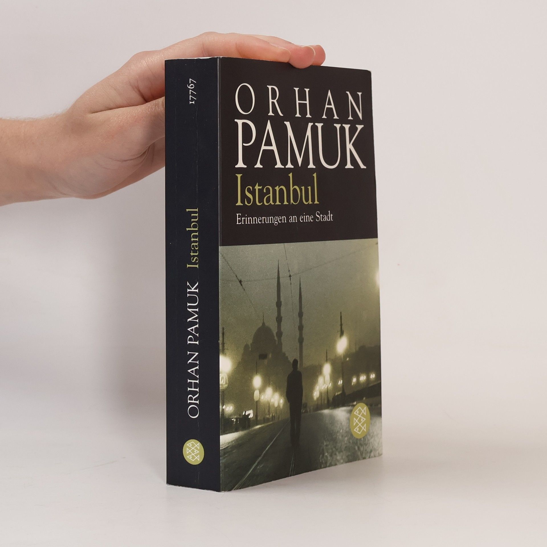 Orhan Pamuk Istanbul - Erinnerungen an eine Stadt