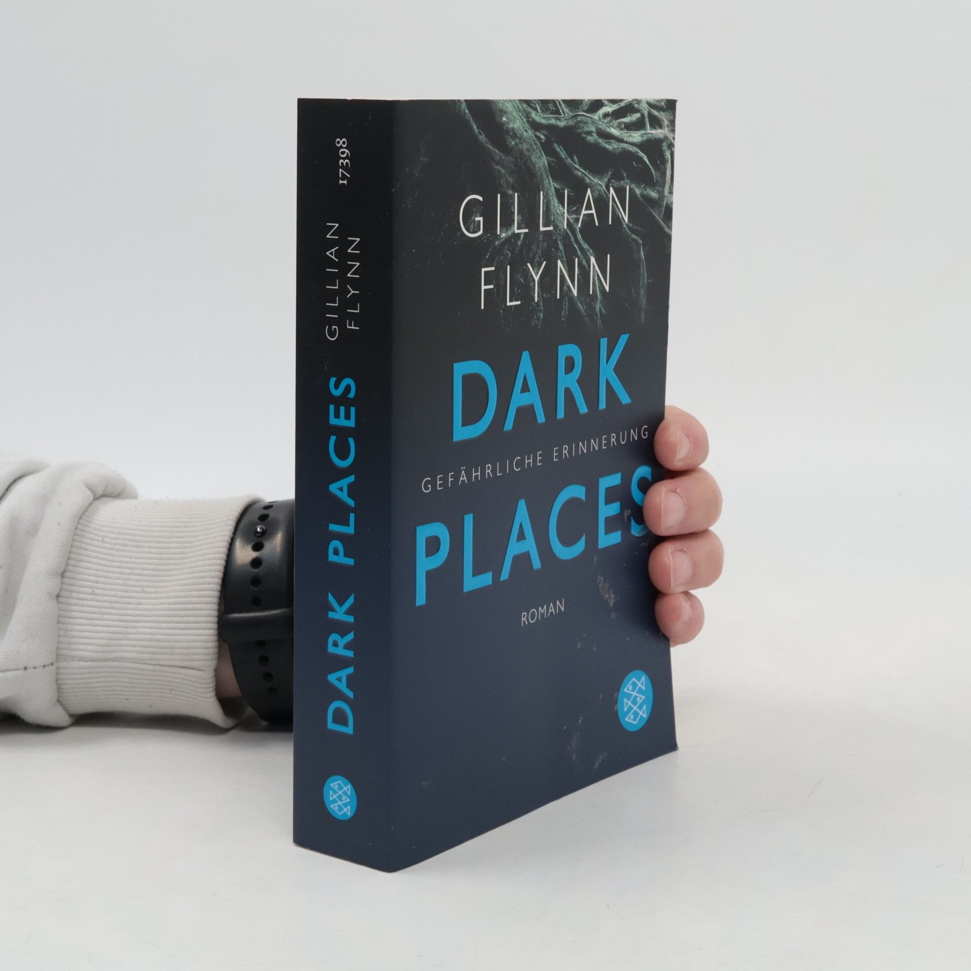 Gillian Flynn Dark Places - Gefährliche Erinnerung