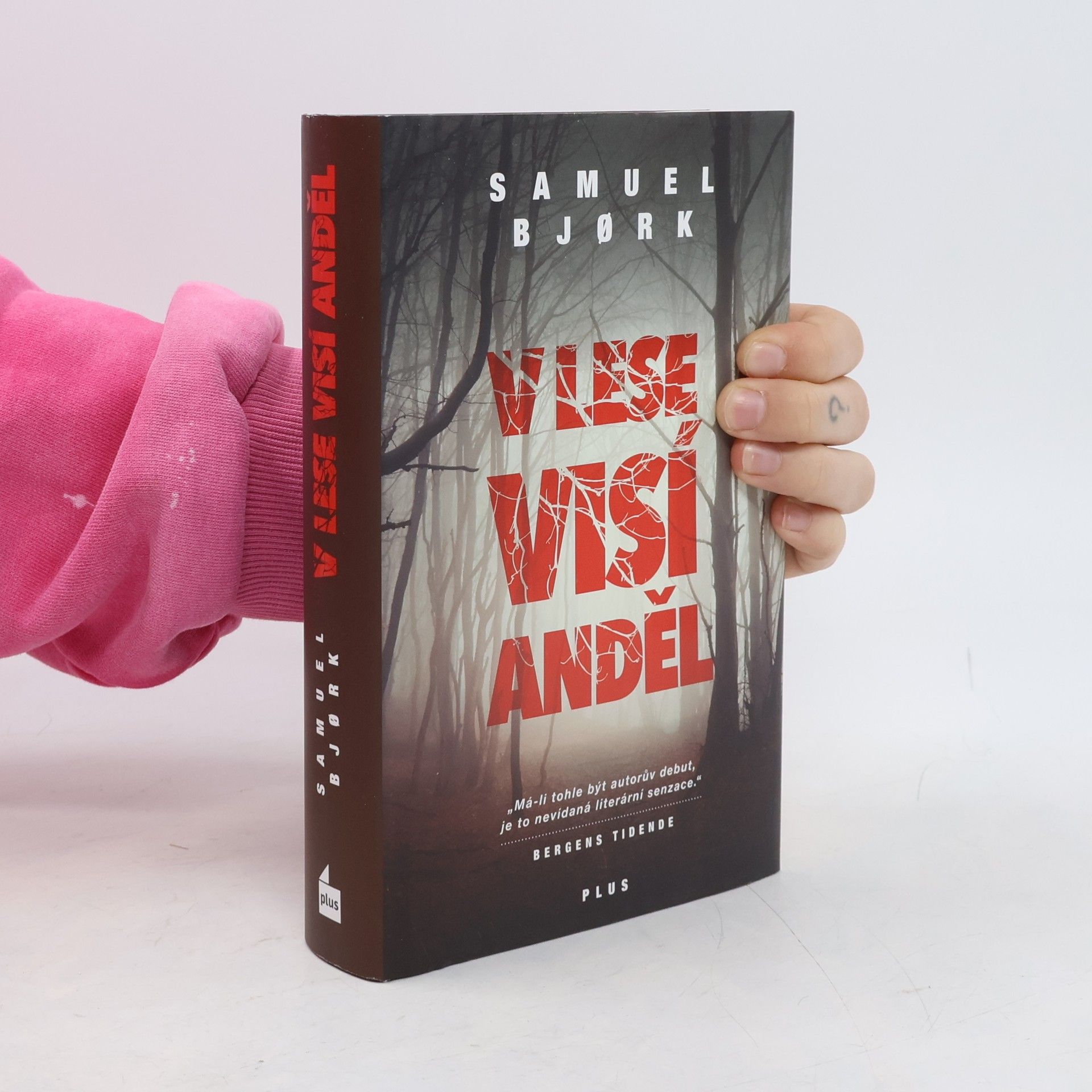 Samuel Bjork V lese visí anděl