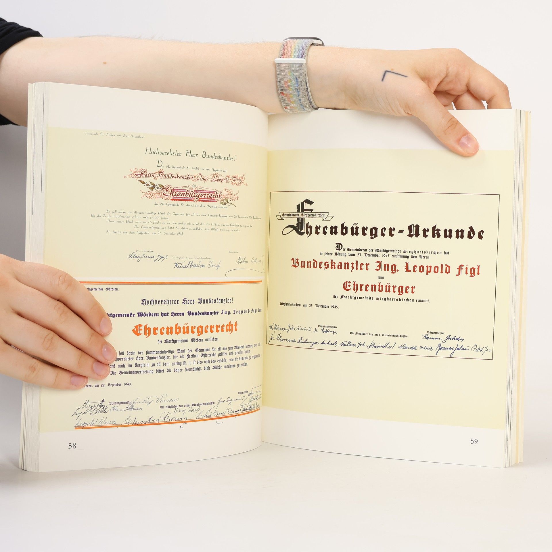 Susanne Seltenreich Leopold Figl. Habt Mut zu Österreich