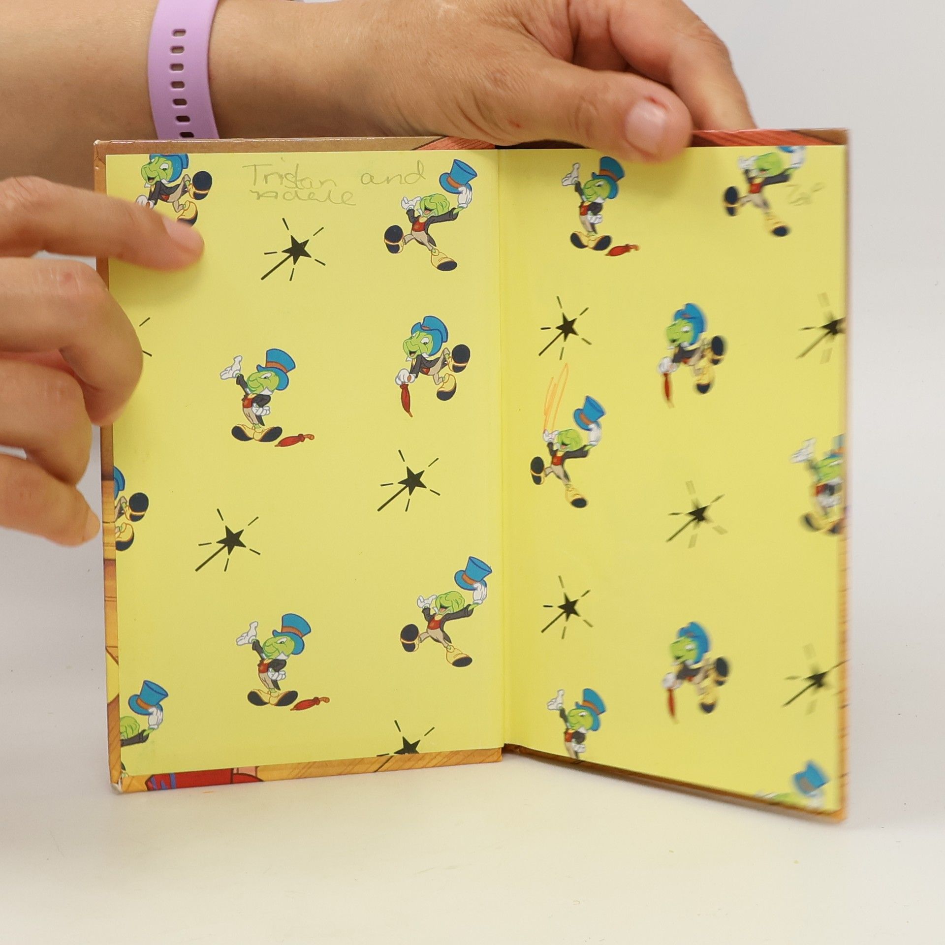 Autorenkollektiv Pinocchio