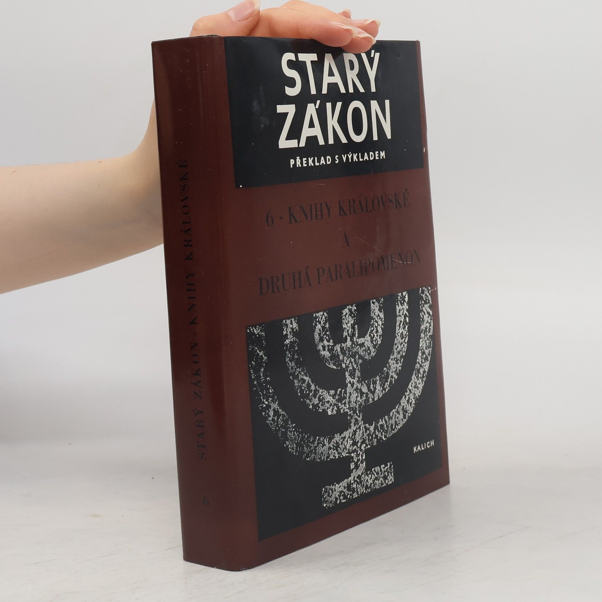 Kolektiv autorů Starý zákon 6. Knihy královské a druhá Paralipomenon