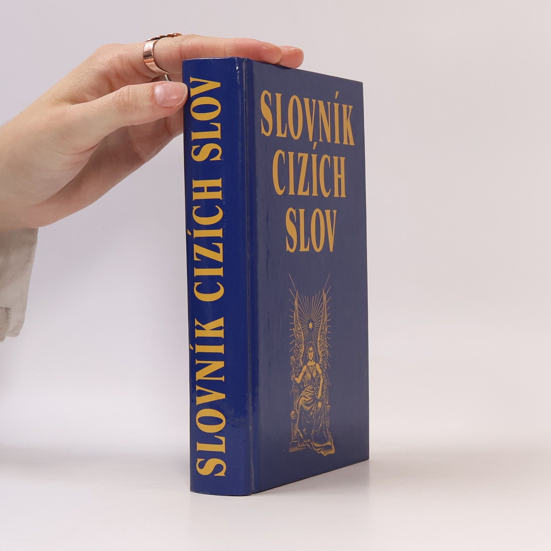 Kolektiv autorů Slovník cizích slov