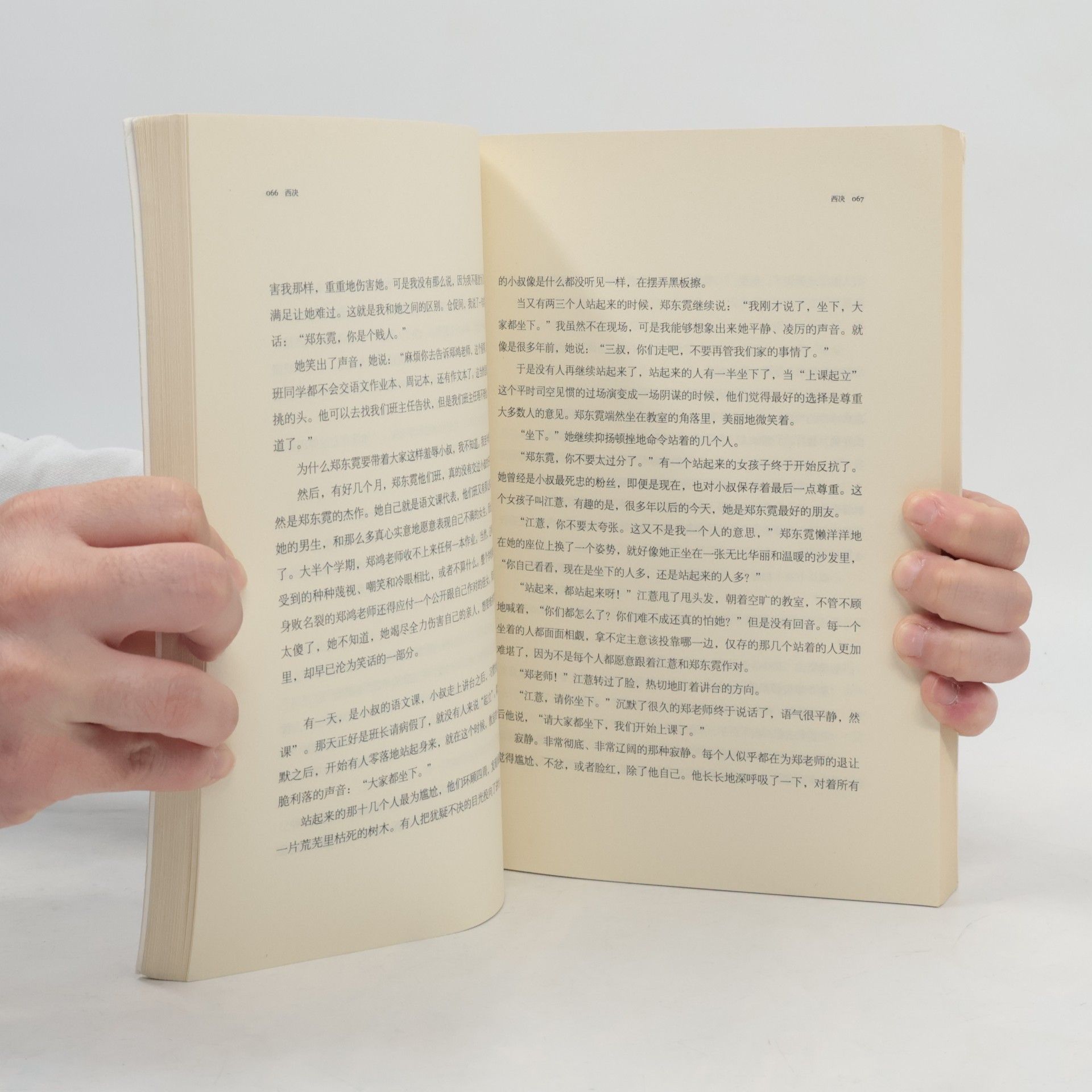 Kolektiv autorů 西决