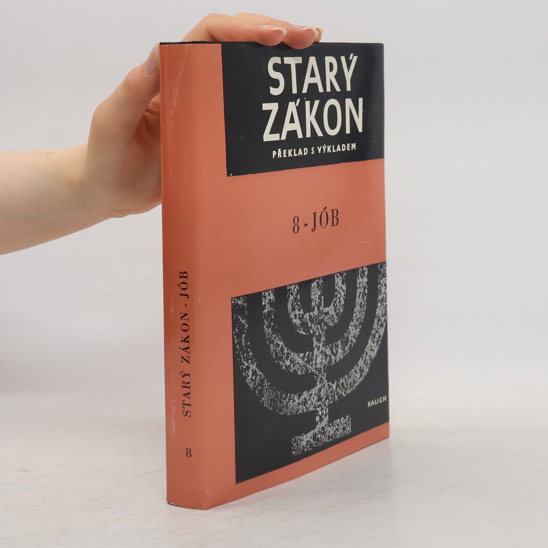 Miloš Bič Starý zákon 8. Jób