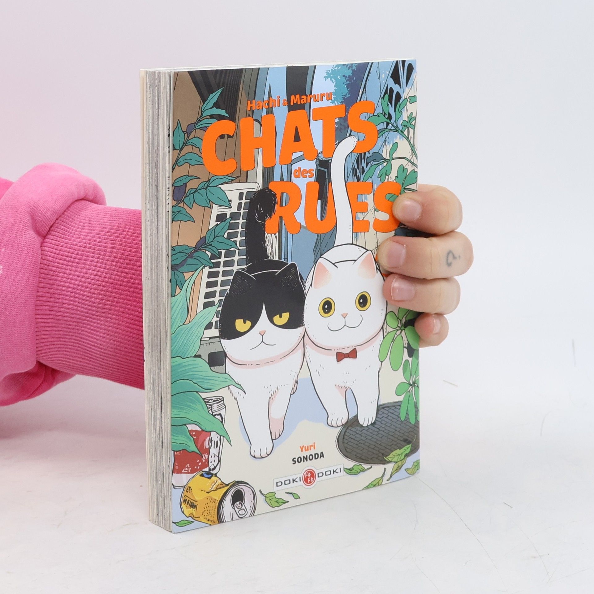 Yuri Sonoda Hachi & Maruru - Chats des rues