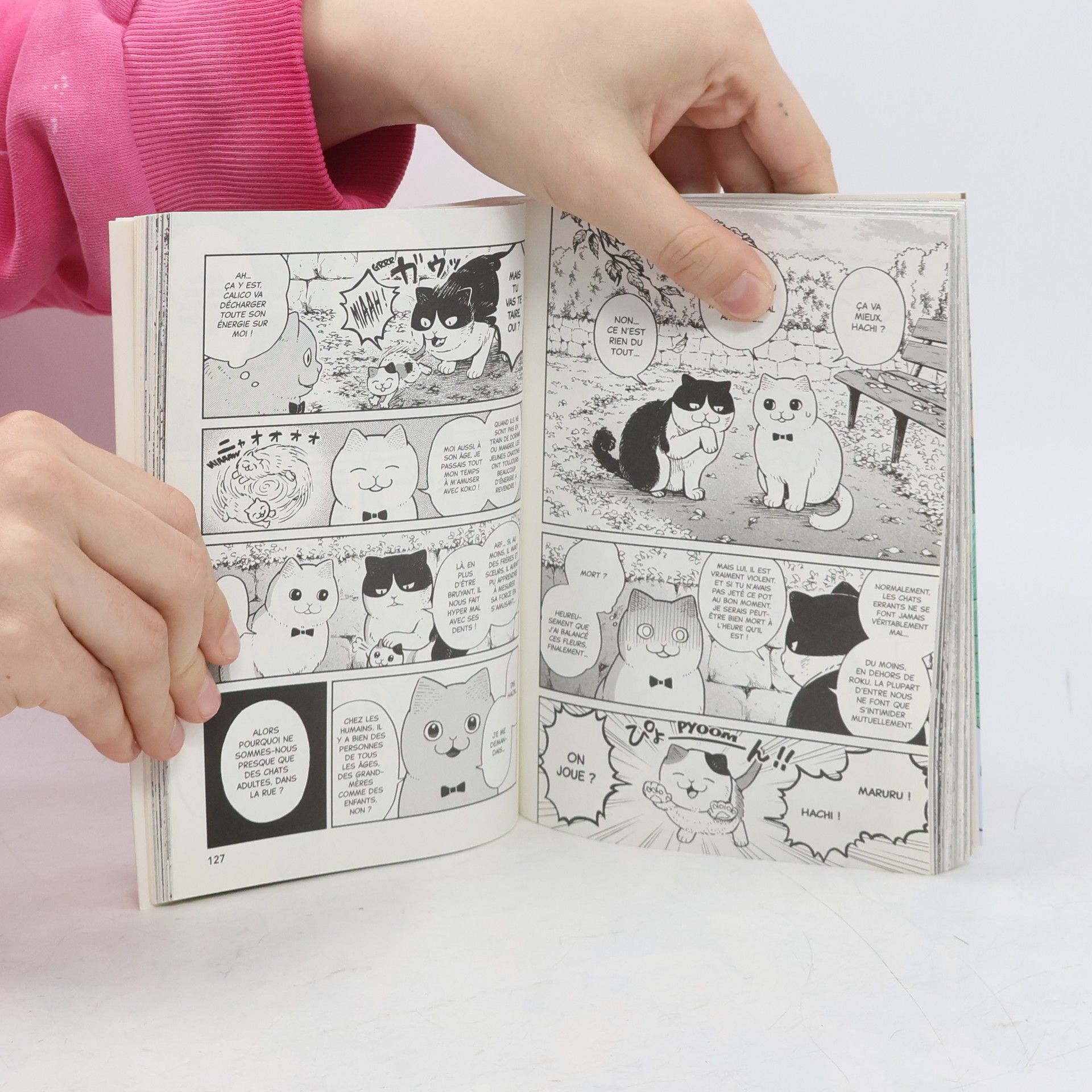 Yuri Sonoda Hachi & Maruru - Chats des rues
