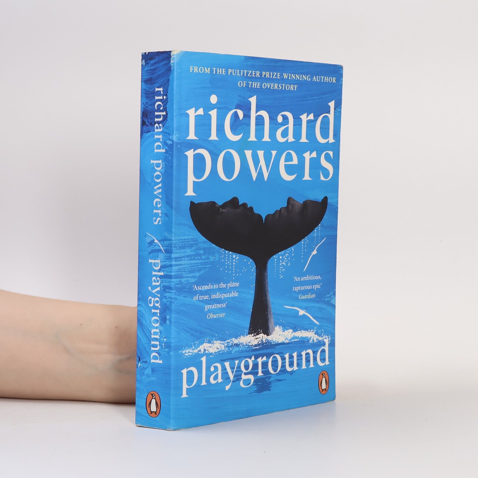 Richard Powers Playground