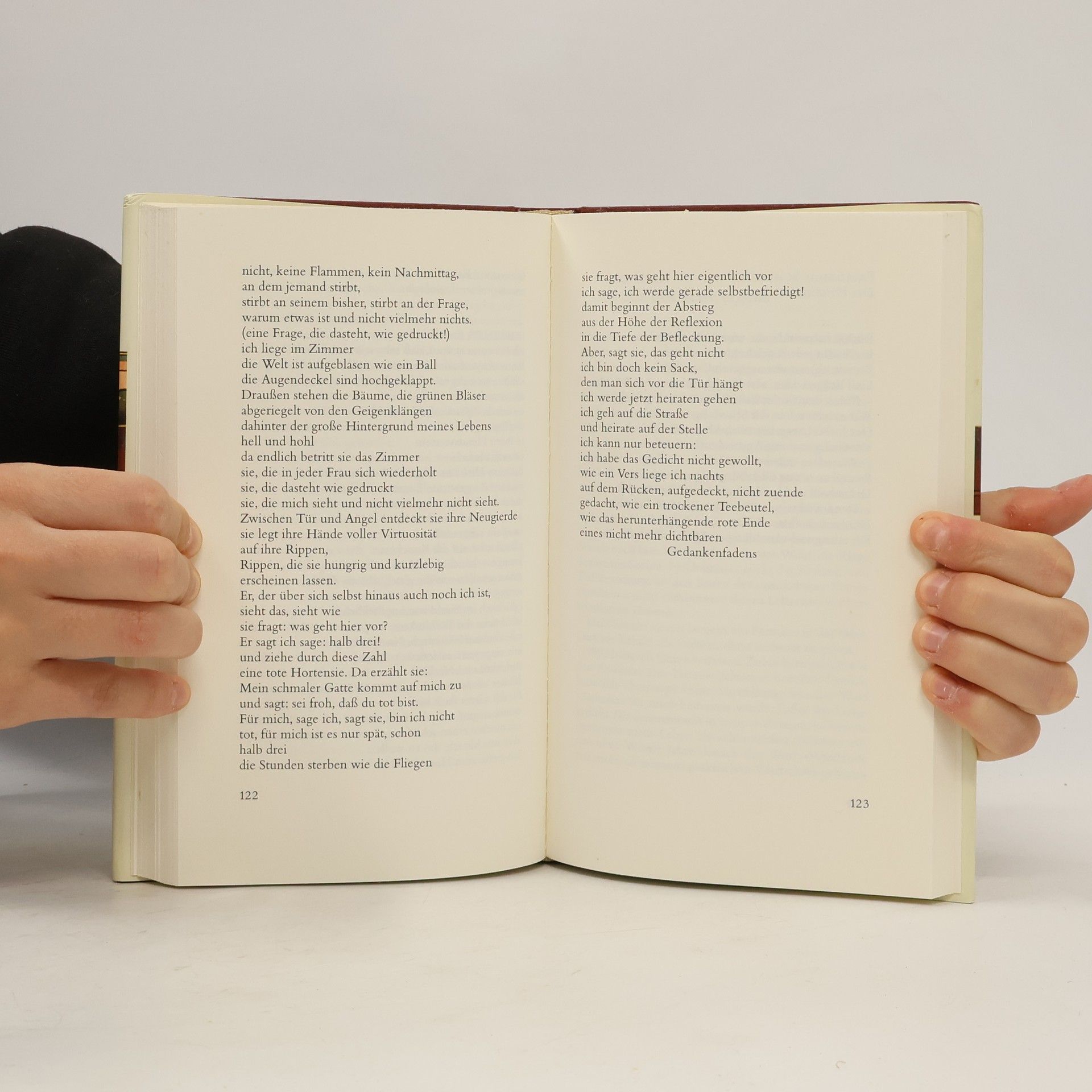 Joachim Sartorius Minima Poetica