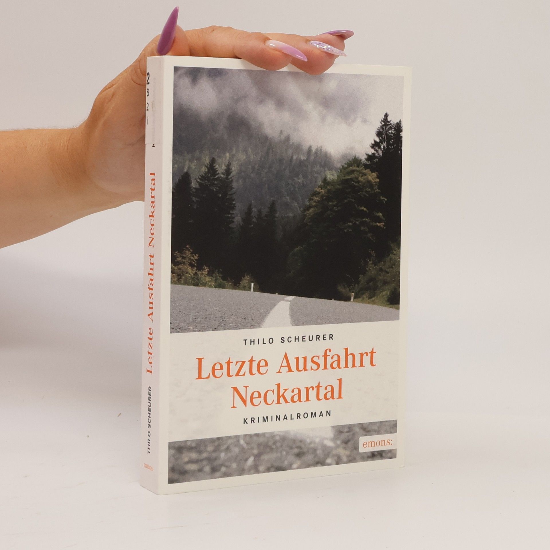 Thilo Scheurer Letzte Ausfahrt Neckartal
