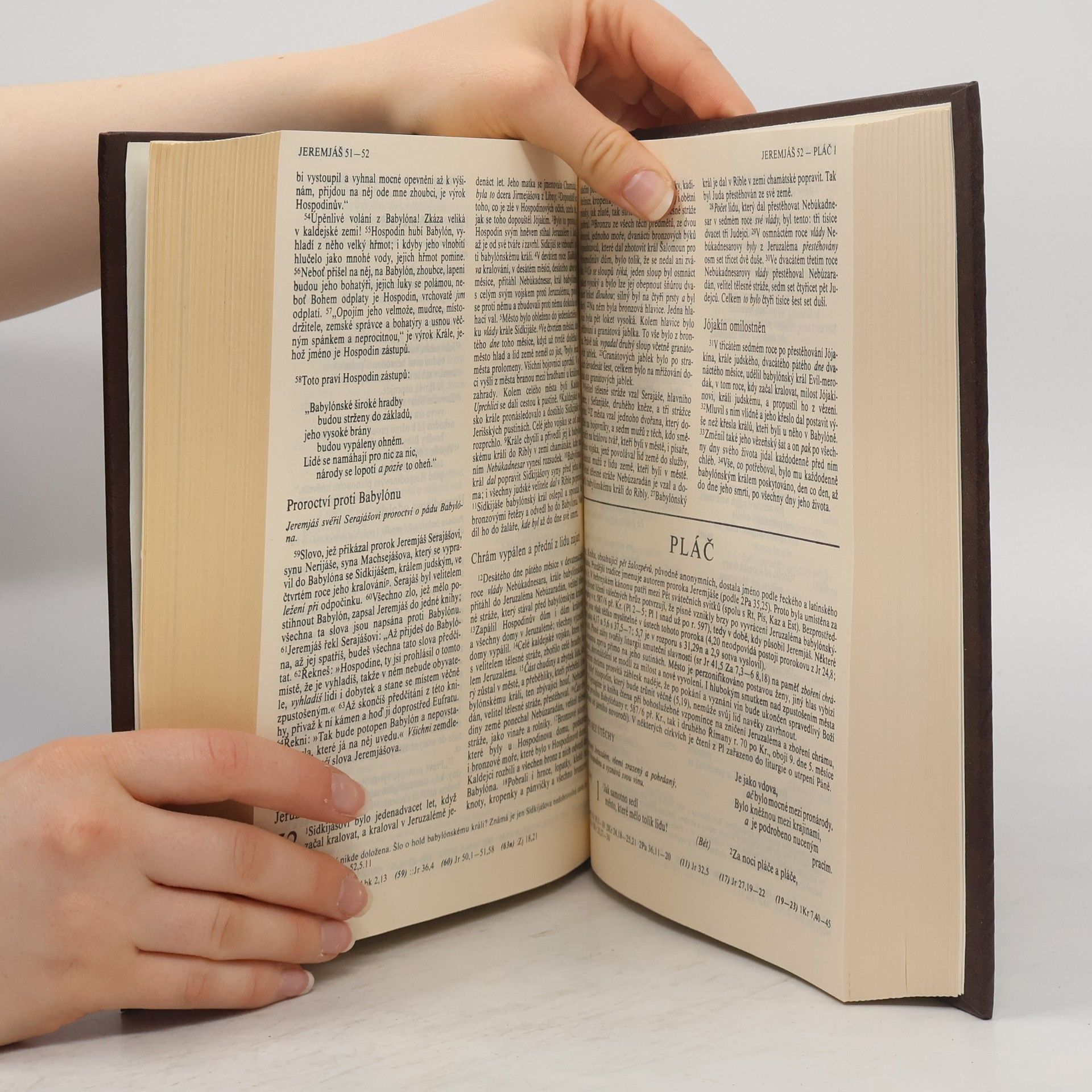 Autorenkollektiv Bible. Písmo svaté Starého a Nového Zákona. Ekumenický překlad