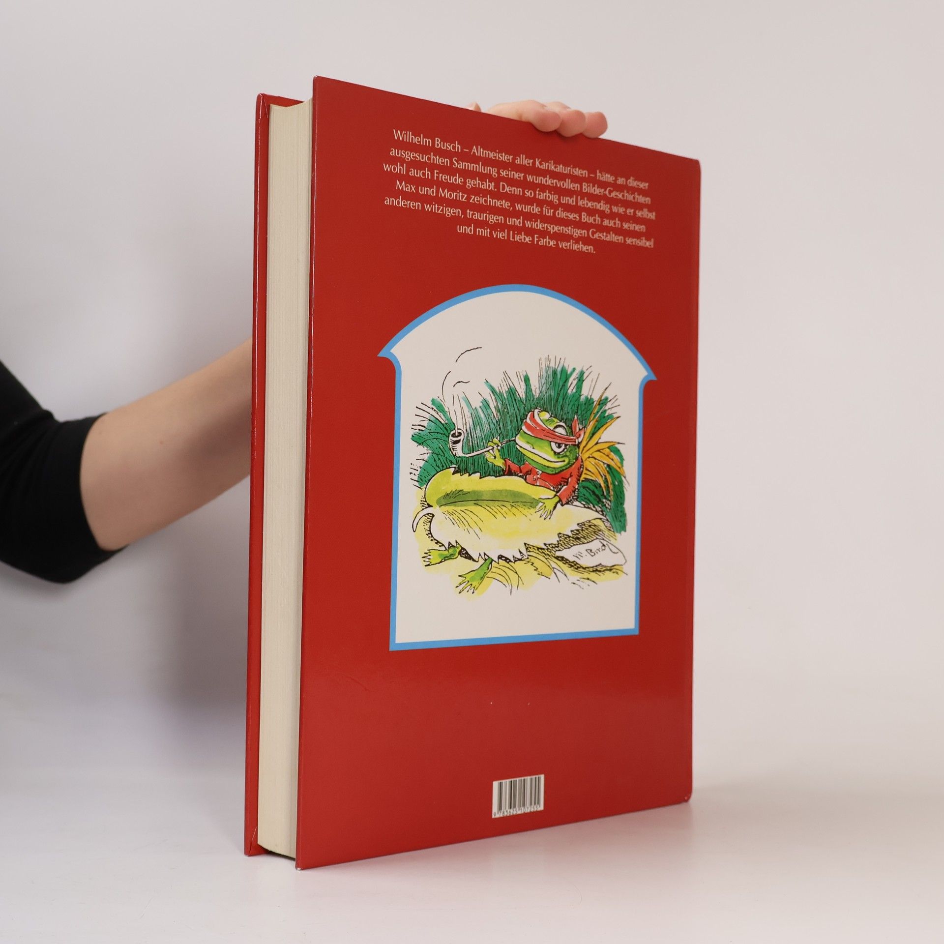 Various authors Großes Wilhelm-Busch-Buch