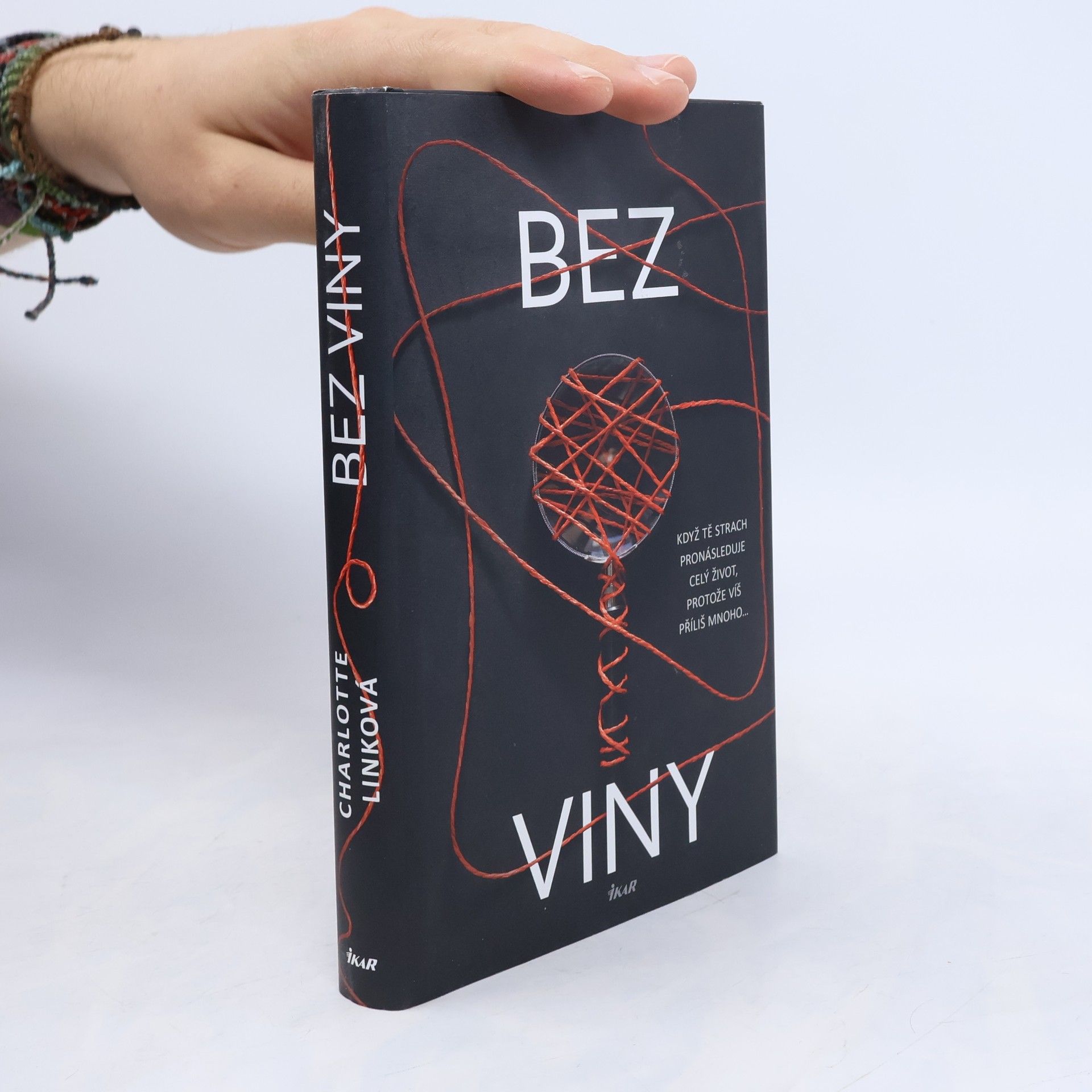 Charlotte Link Bez viny