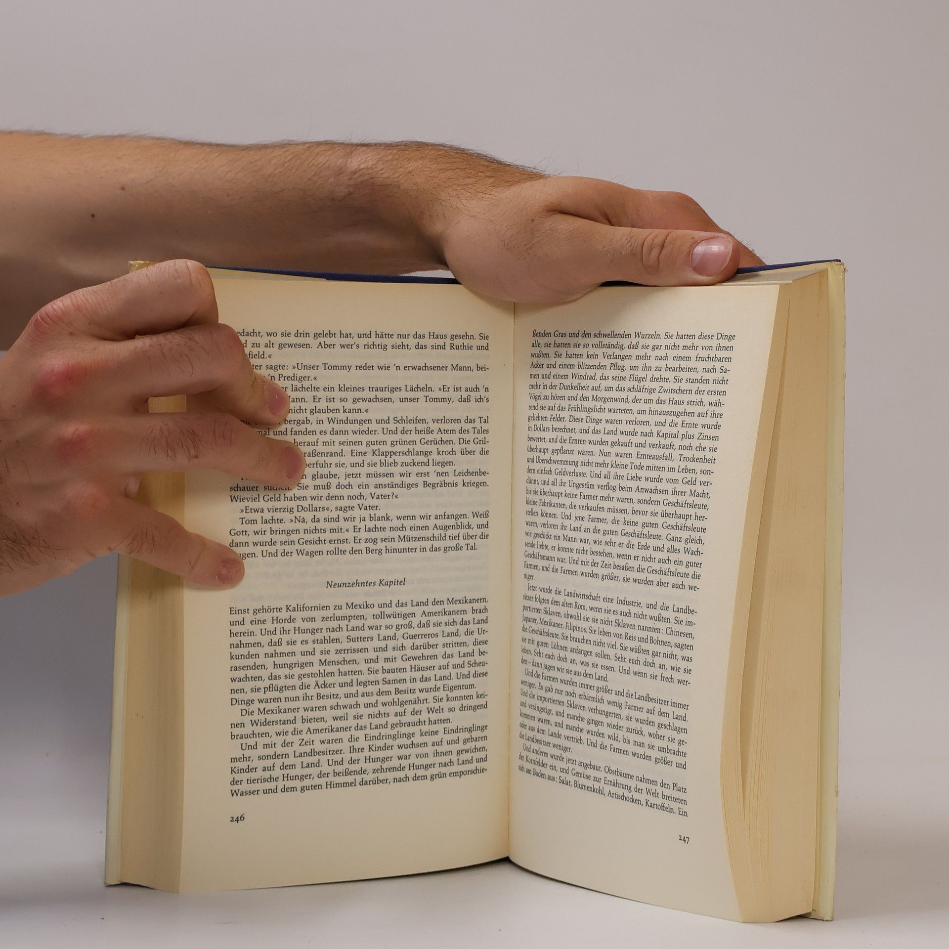 John Steinbeck Früchte des Zorns