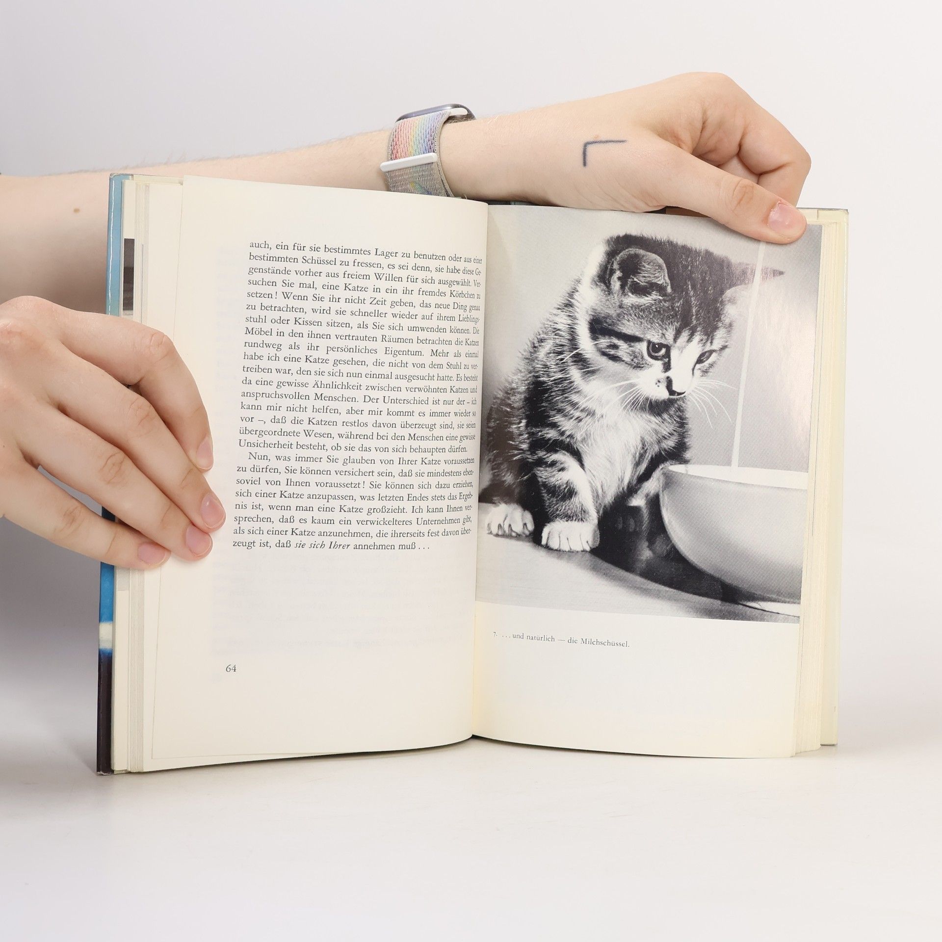 Howard Schulberg Deine Katze und du!