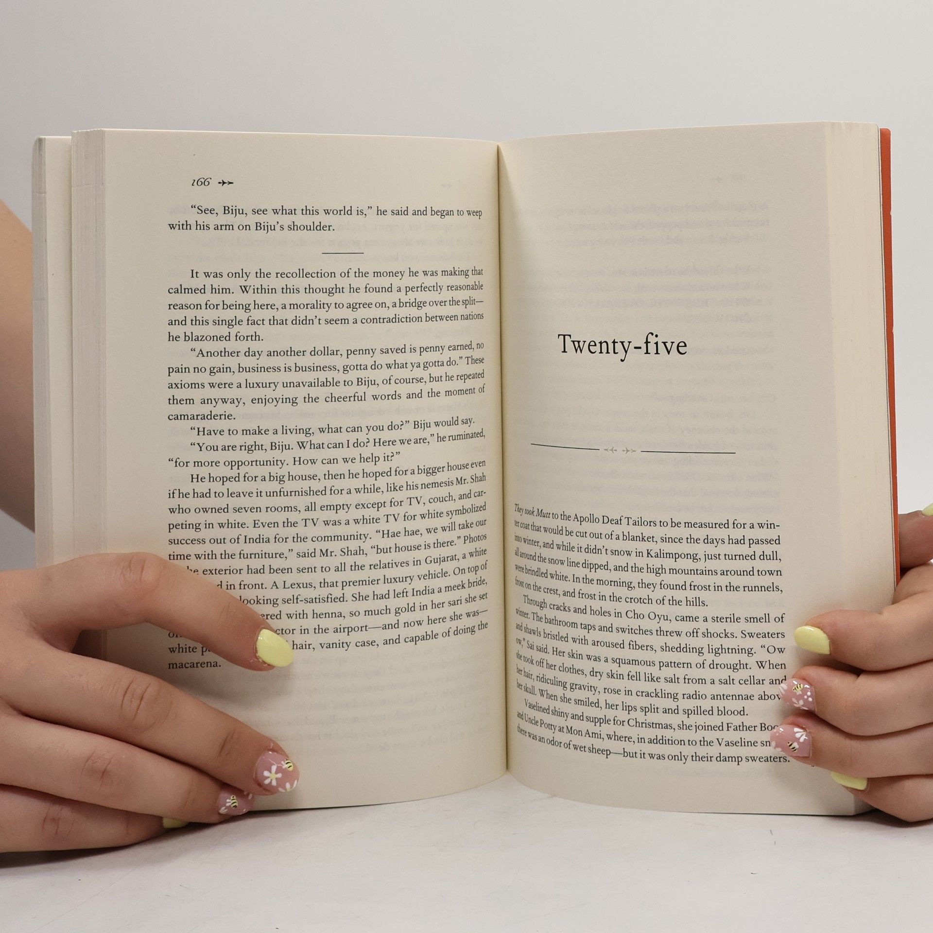 Kiran Desai The inheritance of loss