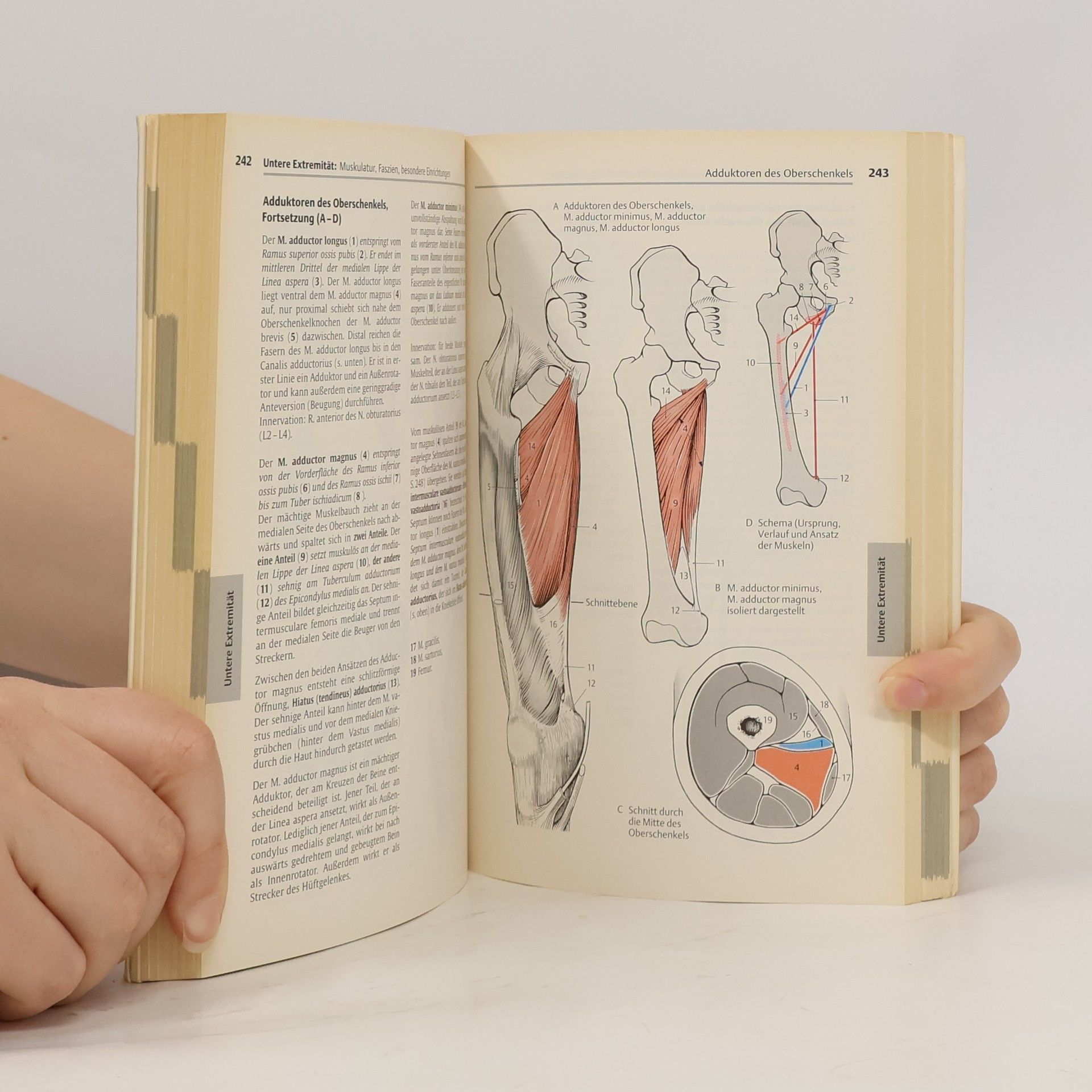Werner Platzer Platzer Taschenatlas der Anatomie