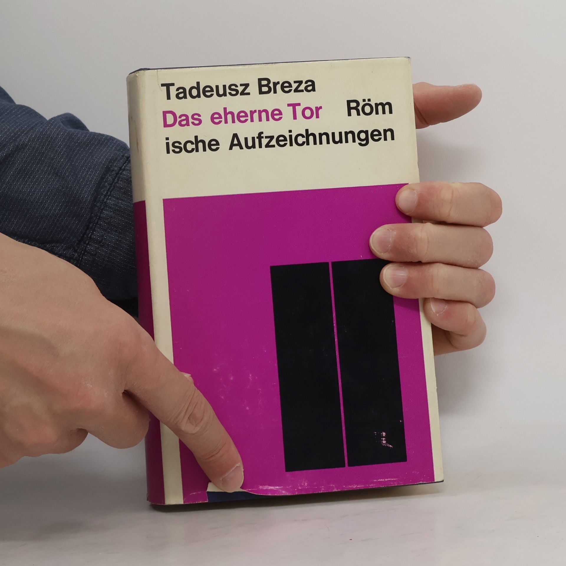 Tadeusz Breza Das eherne Tor