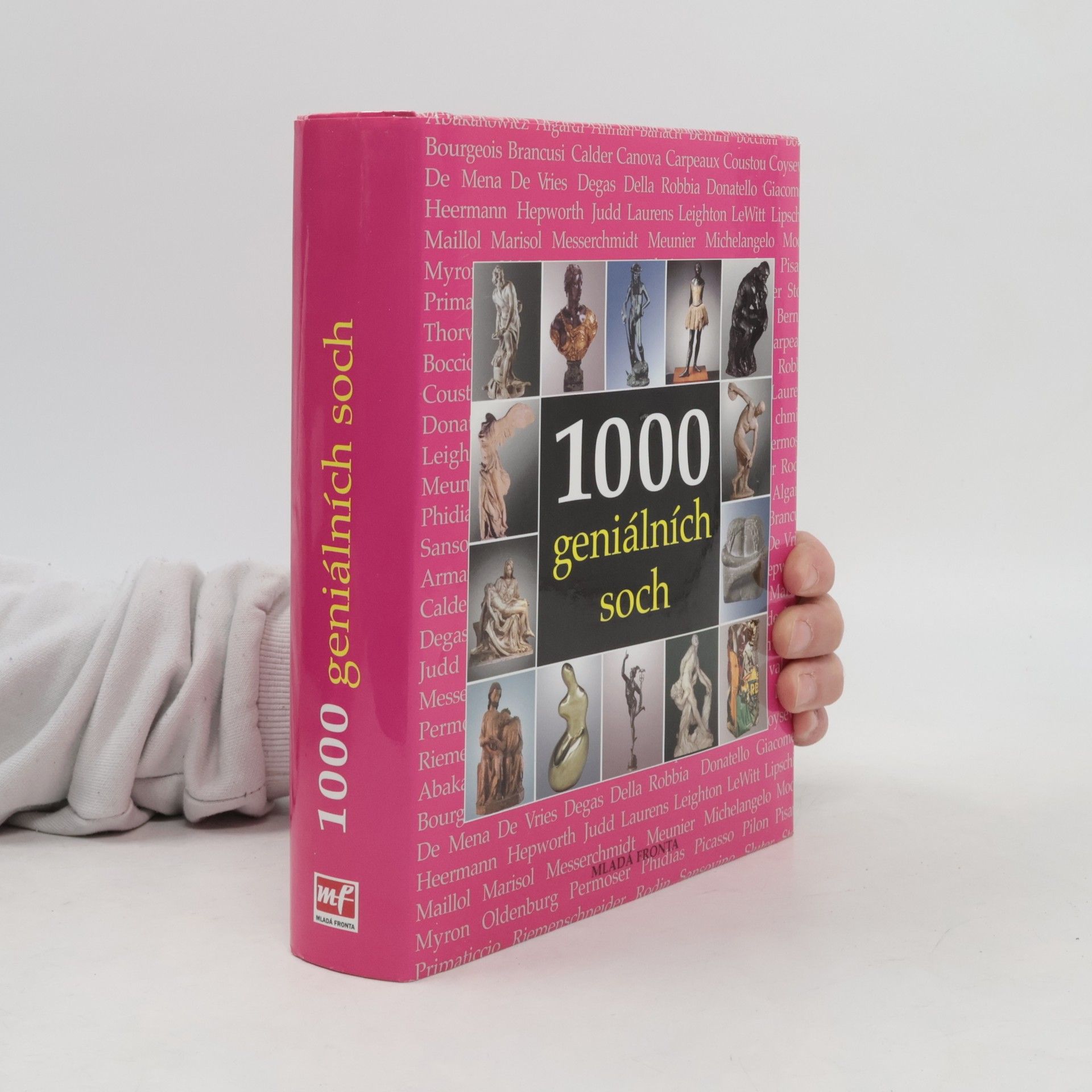 Sarah Costello 1000 geniálních soch