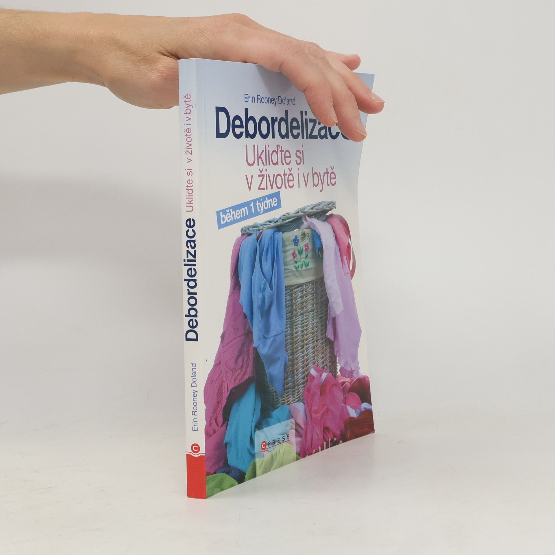 Erin Rooney Doland Debordelizace