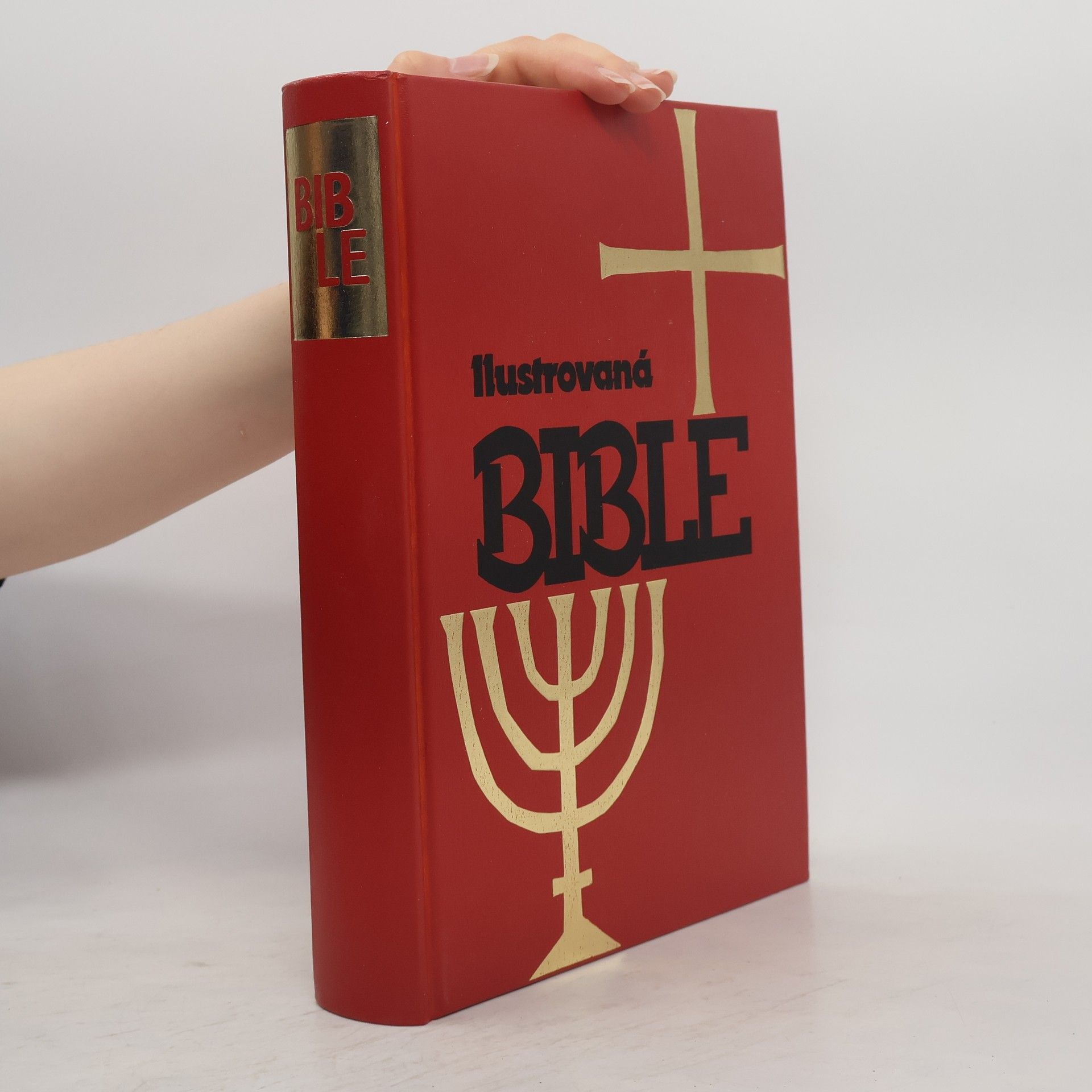 Kolektiv autorů Ilustrovaná Bible