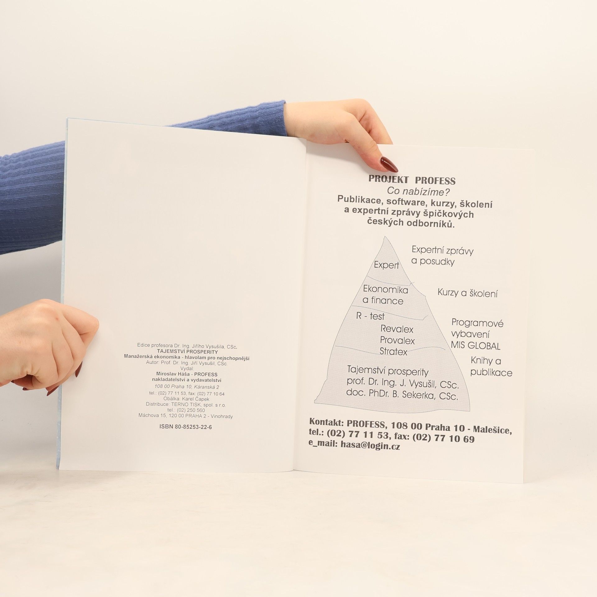 Jiří Vysušil Manažerská ekonomika: hlavolam pro nejschopnější