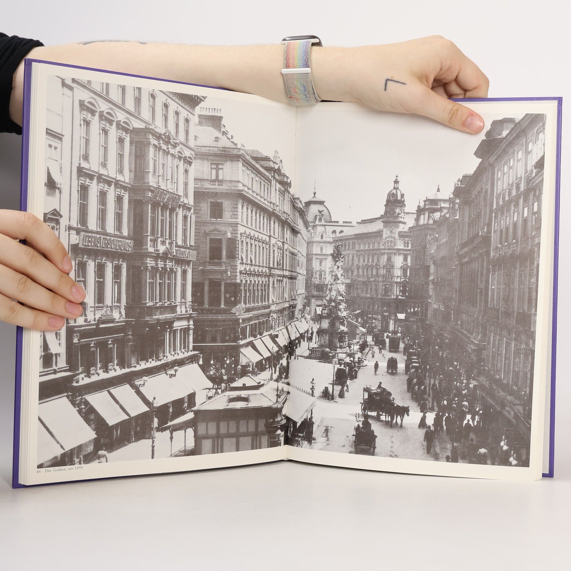 Günter Düriegl Wien auf alten Photographien