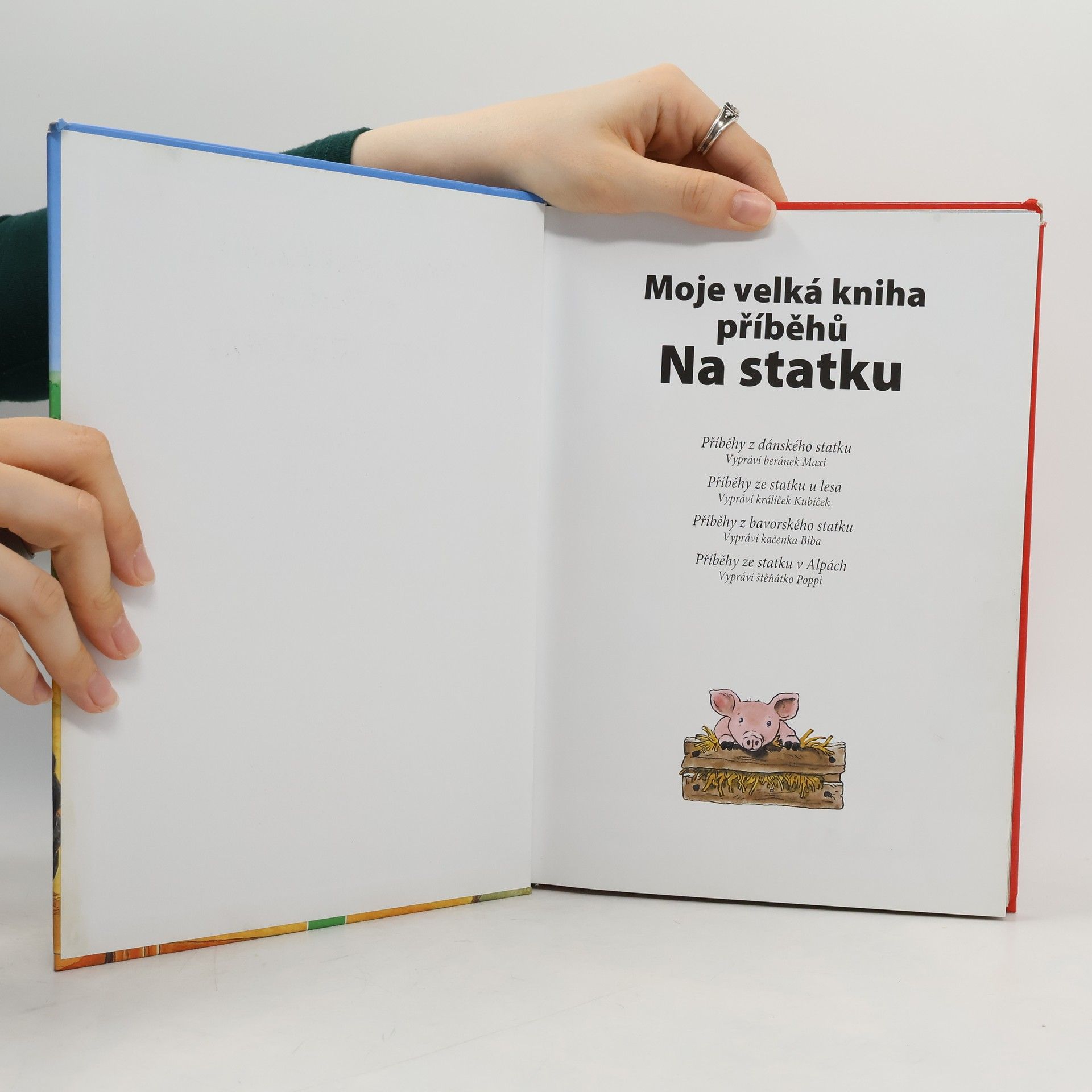 Anne Suess Moje velká kniha příběhů. Na statku