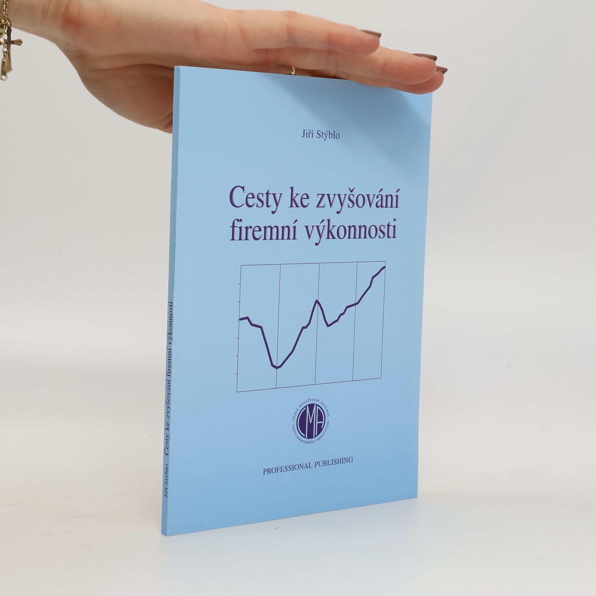 Jiří Stýblo Cesty ke zvyšování firemní výkonnosti