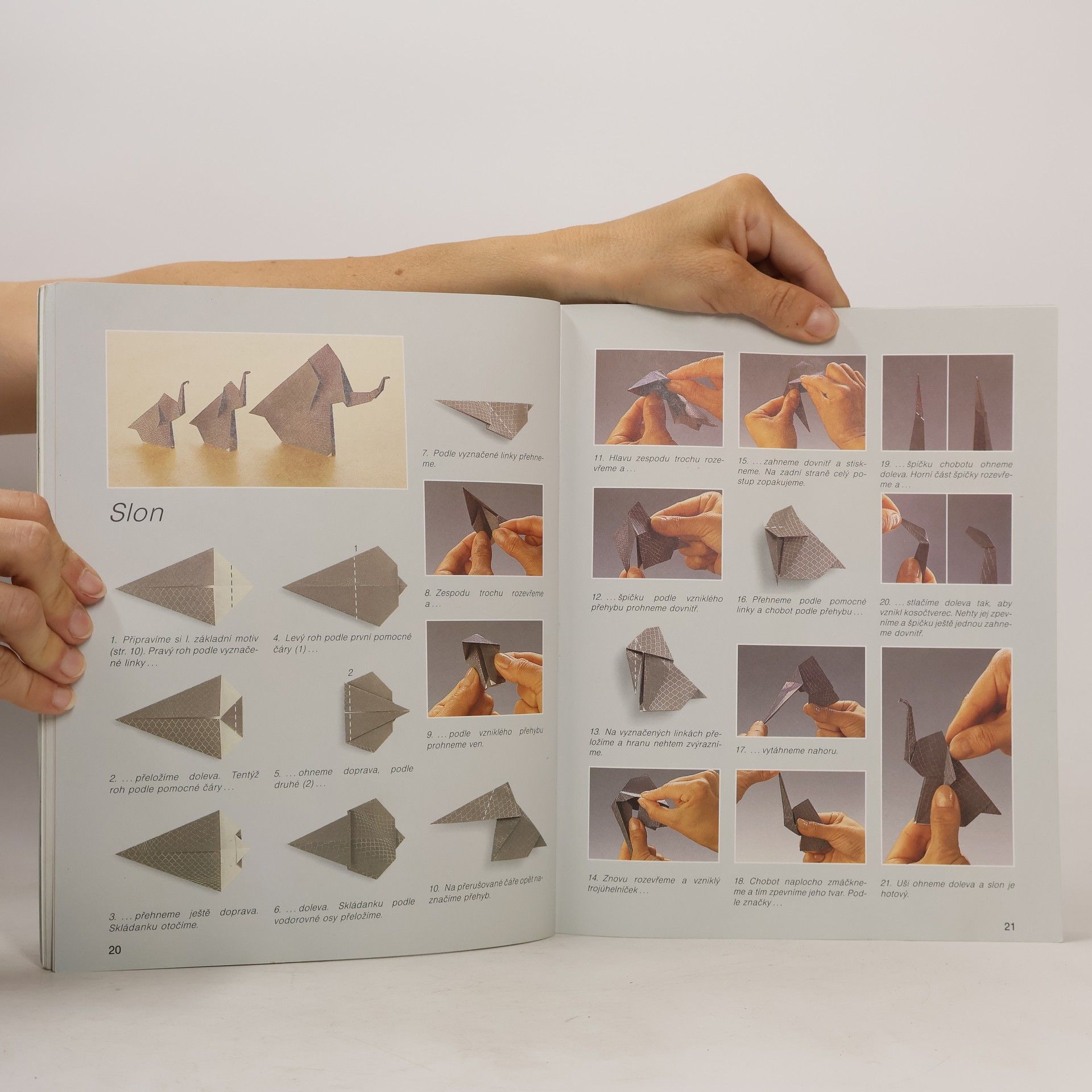 Zülal AytüreScheele Hobby origami