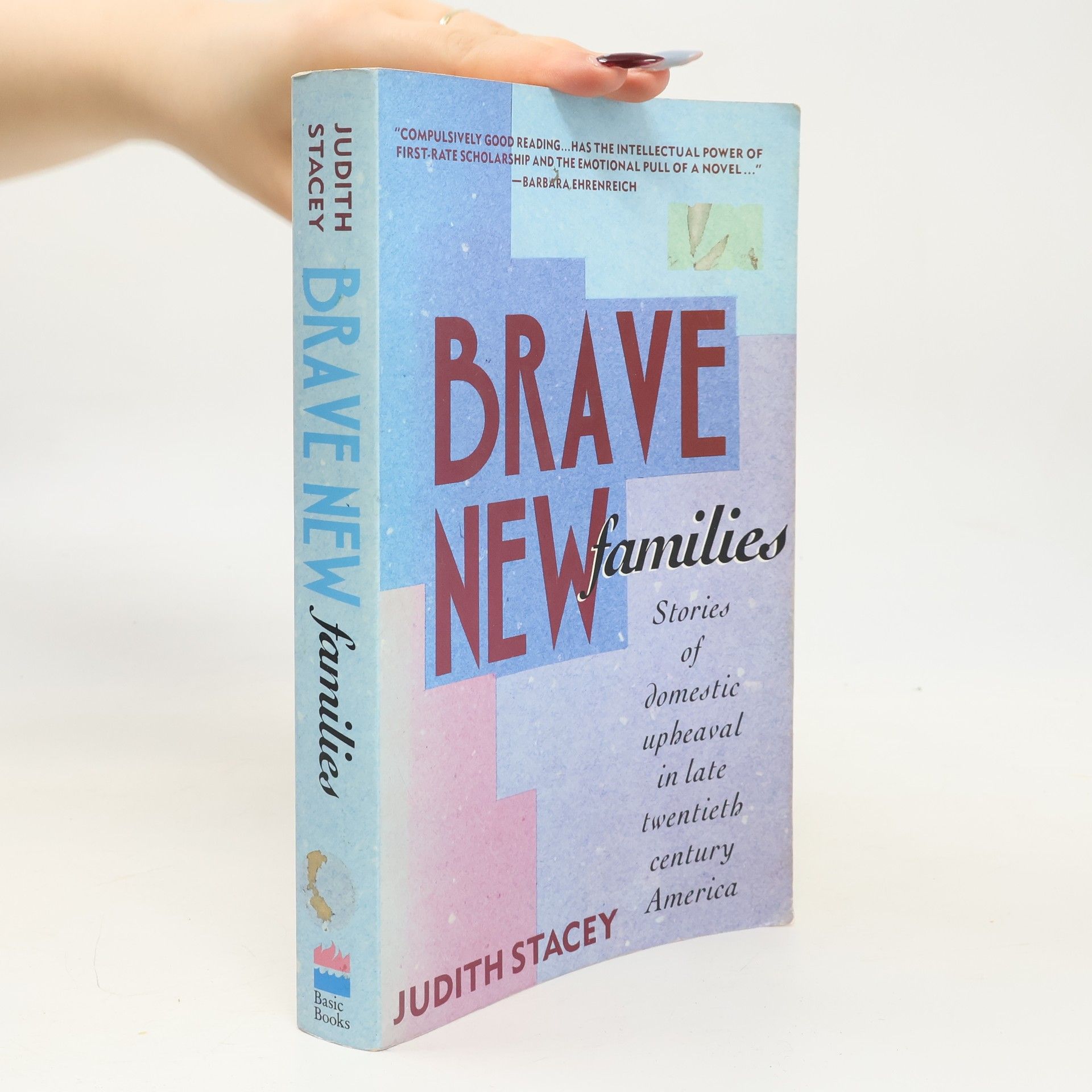 Judith Stacey Brave New Families
