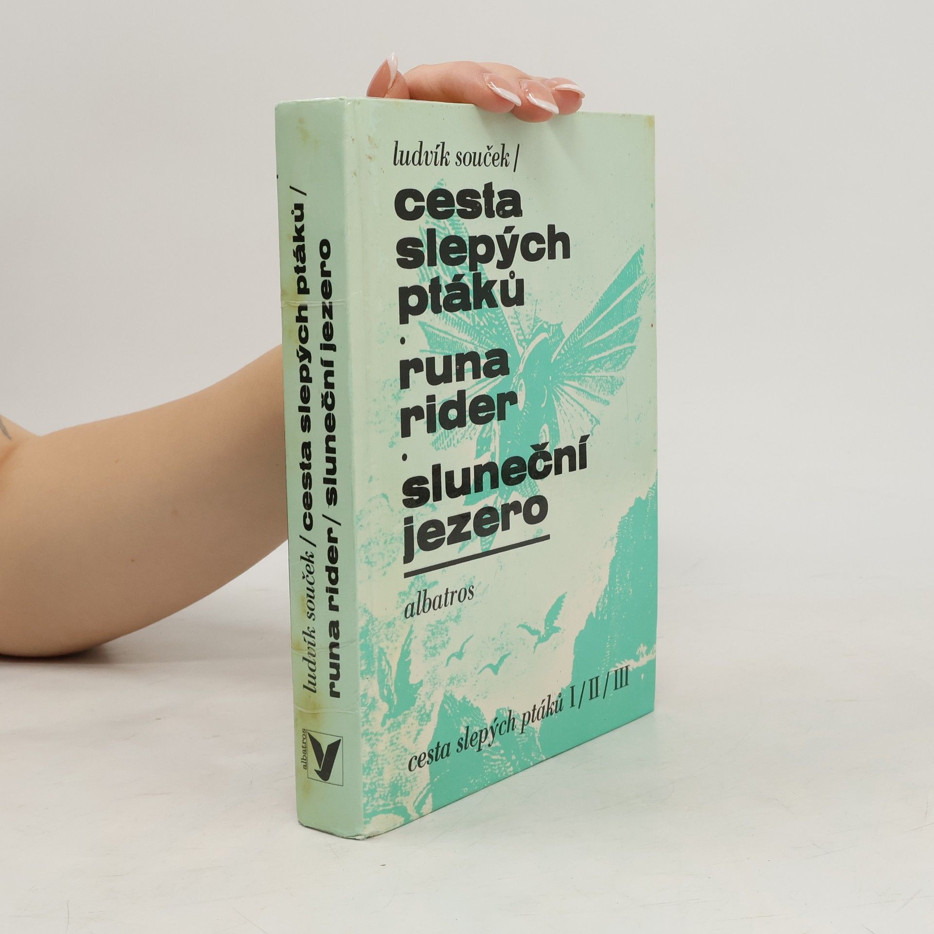 Ludvík Souček Cesta slepých ptáků. Runa rider. Sluneční jezero