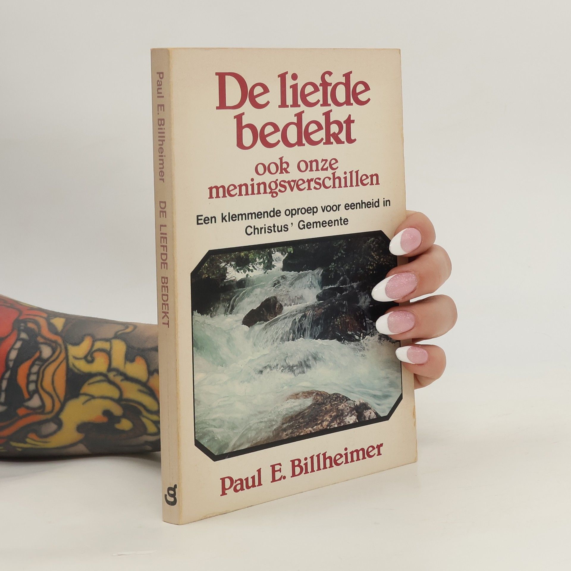 Lotte Reimeringer-Baudert De liefde bedekt