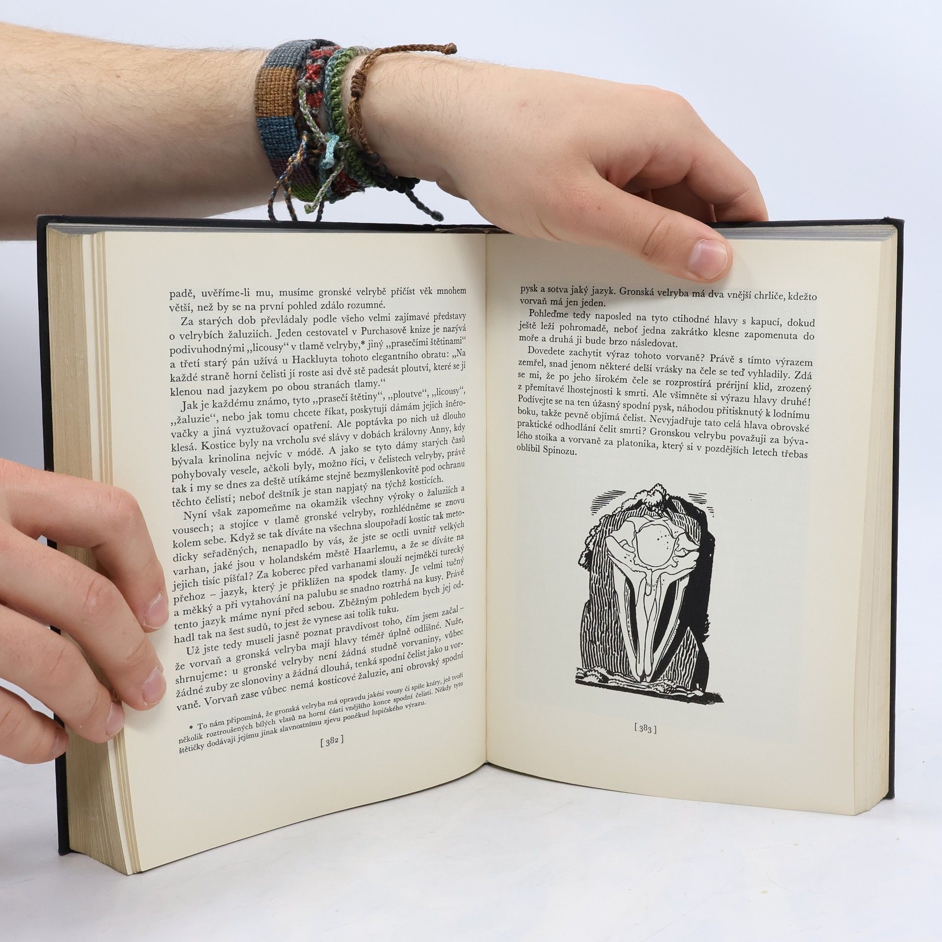 Herman Melville Bílá velryba