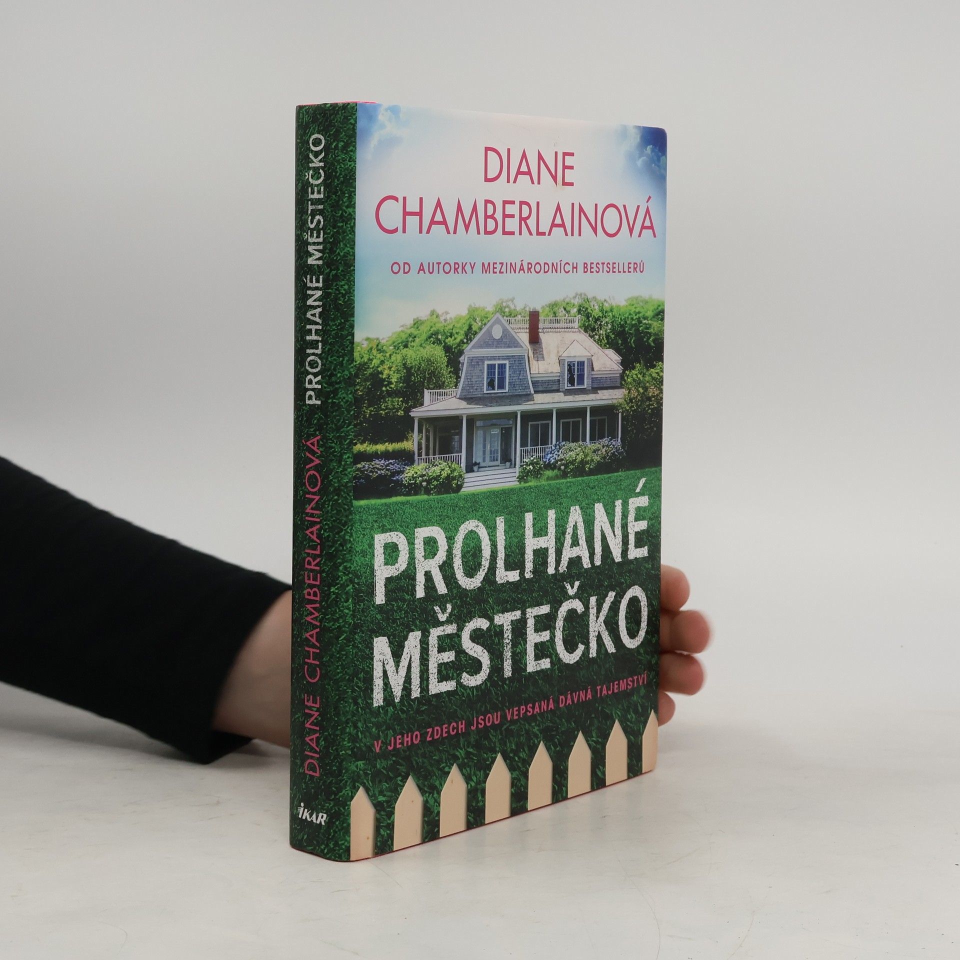 Diane Chamberlain Prolhané městečko