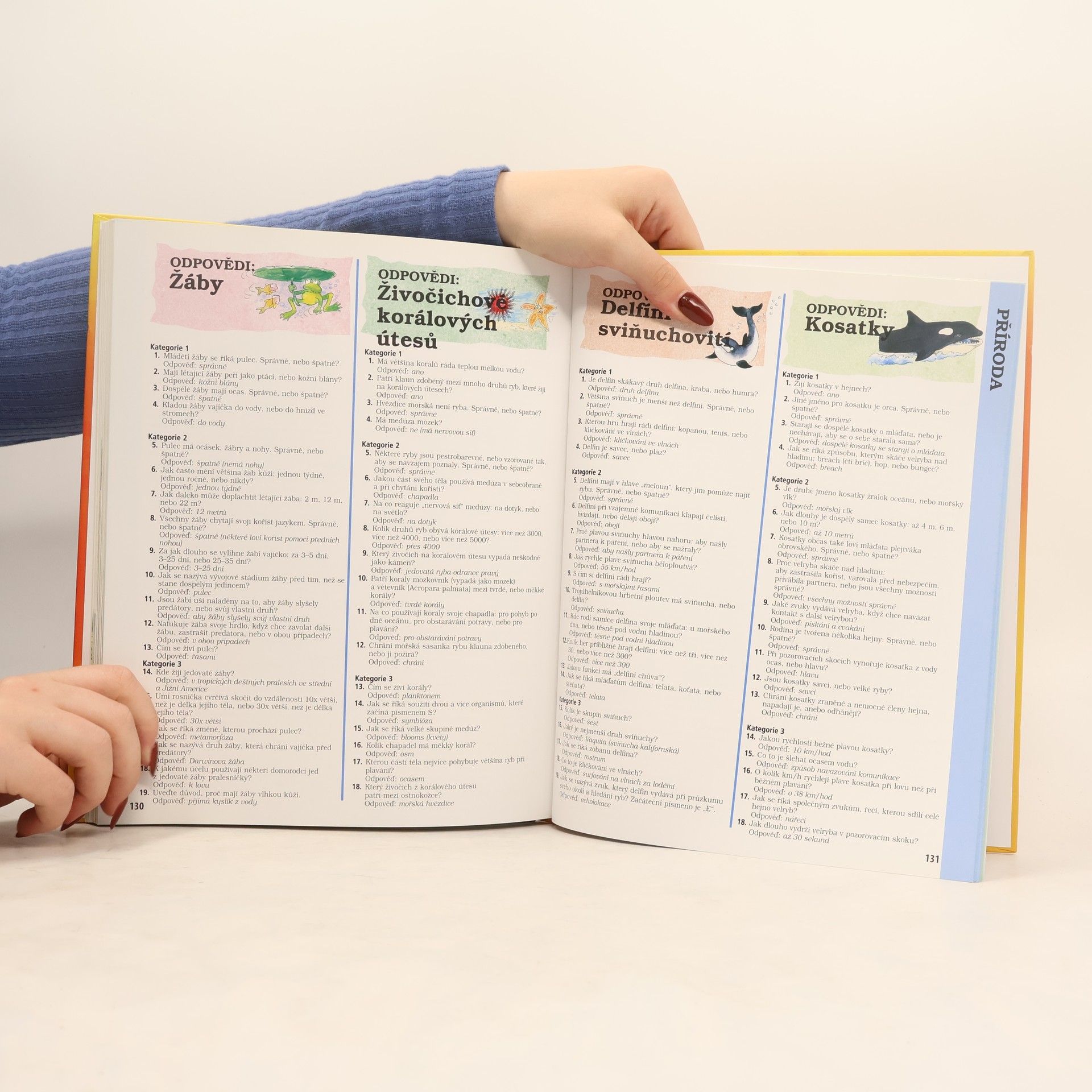 Autorenkollektiv Velká kniha otázek a odpovědí