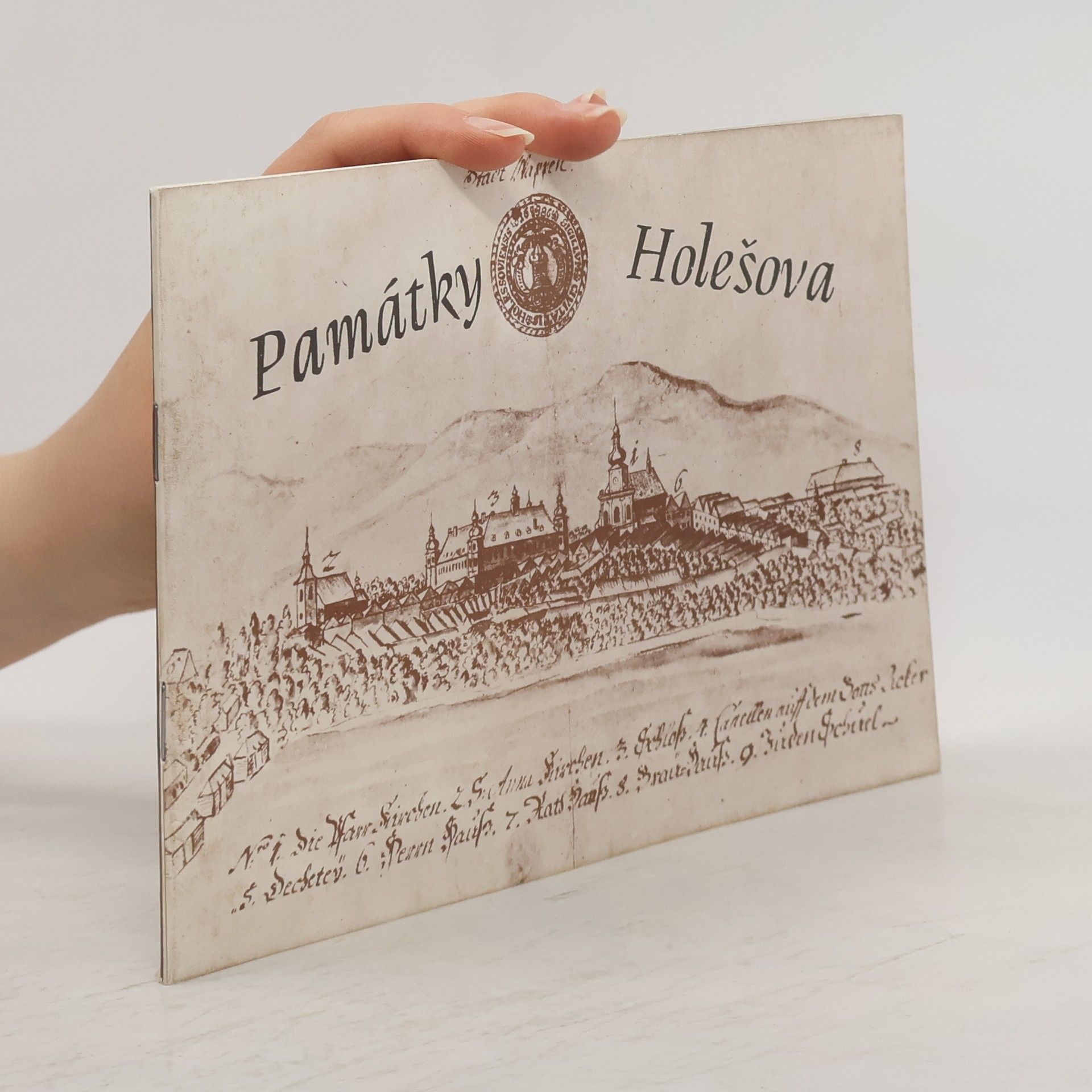 Kolektív autorov Památky Holešova