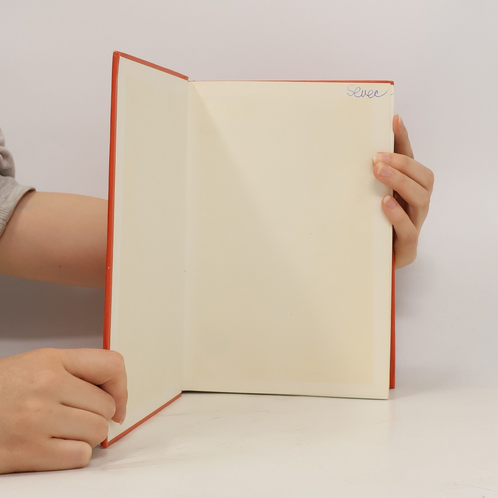 Bedřich Sedlák Elektřina a magnetismus