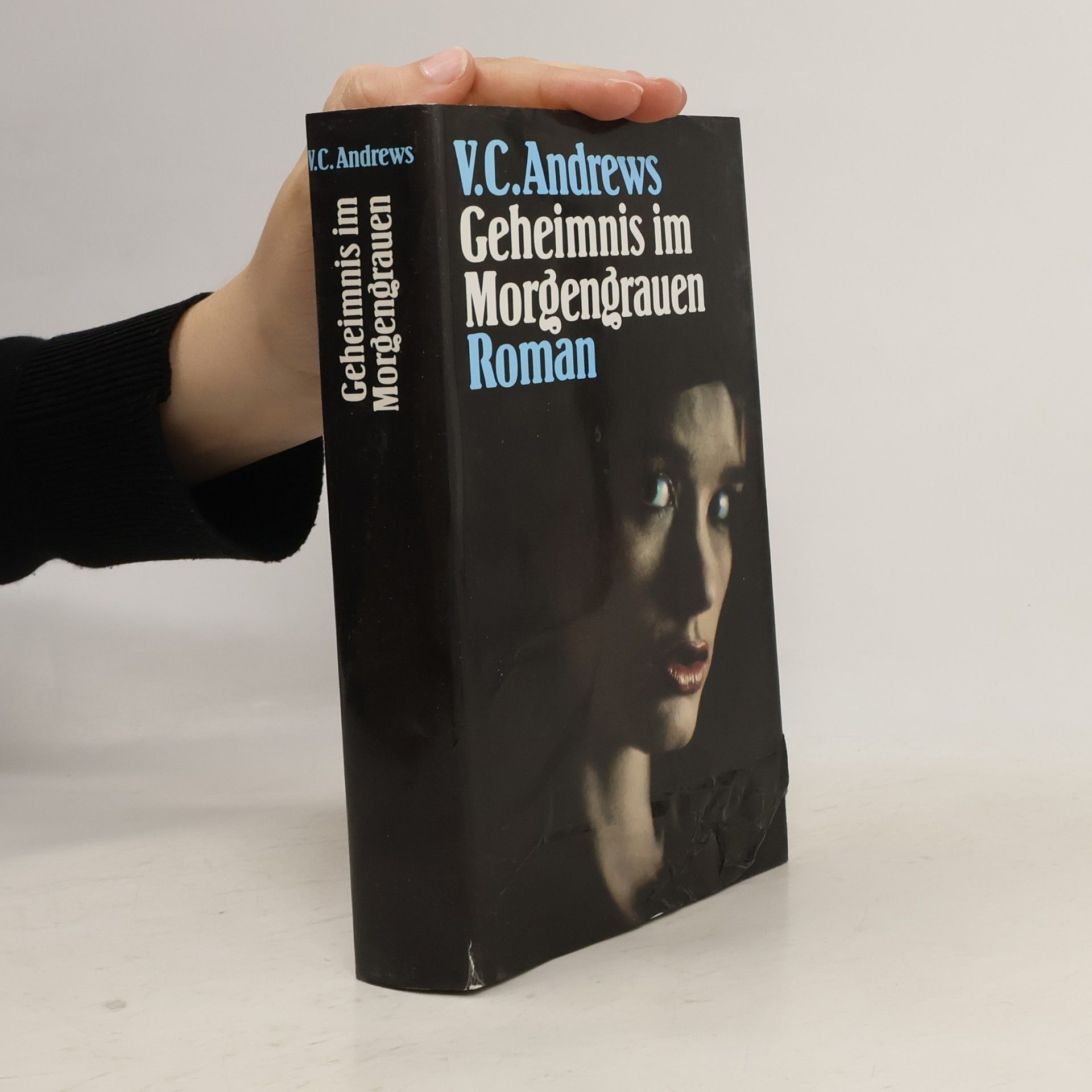 Virginia Cleo Andrews Geheimnis im Morgengrauen