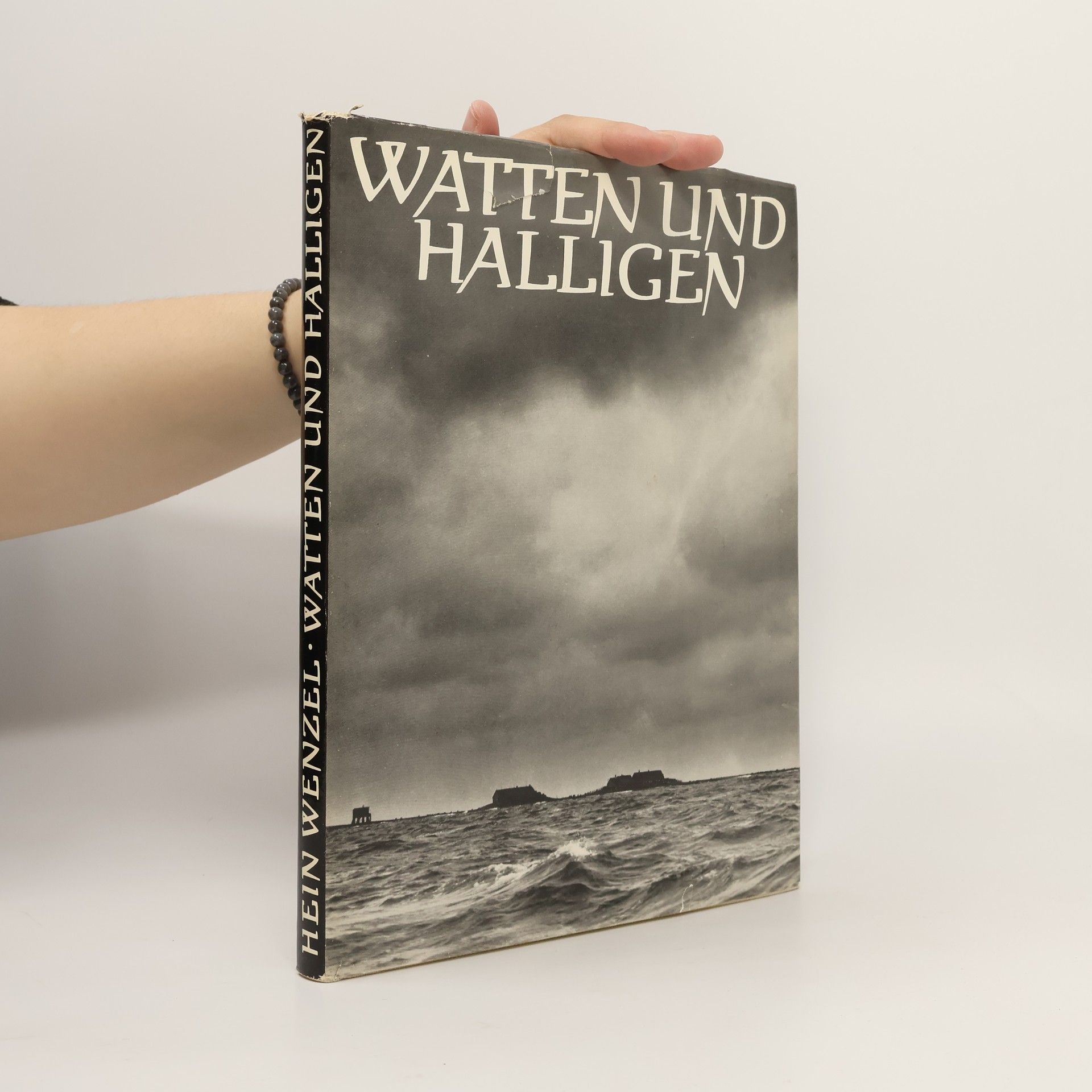 Autores varios Watten und Halligen