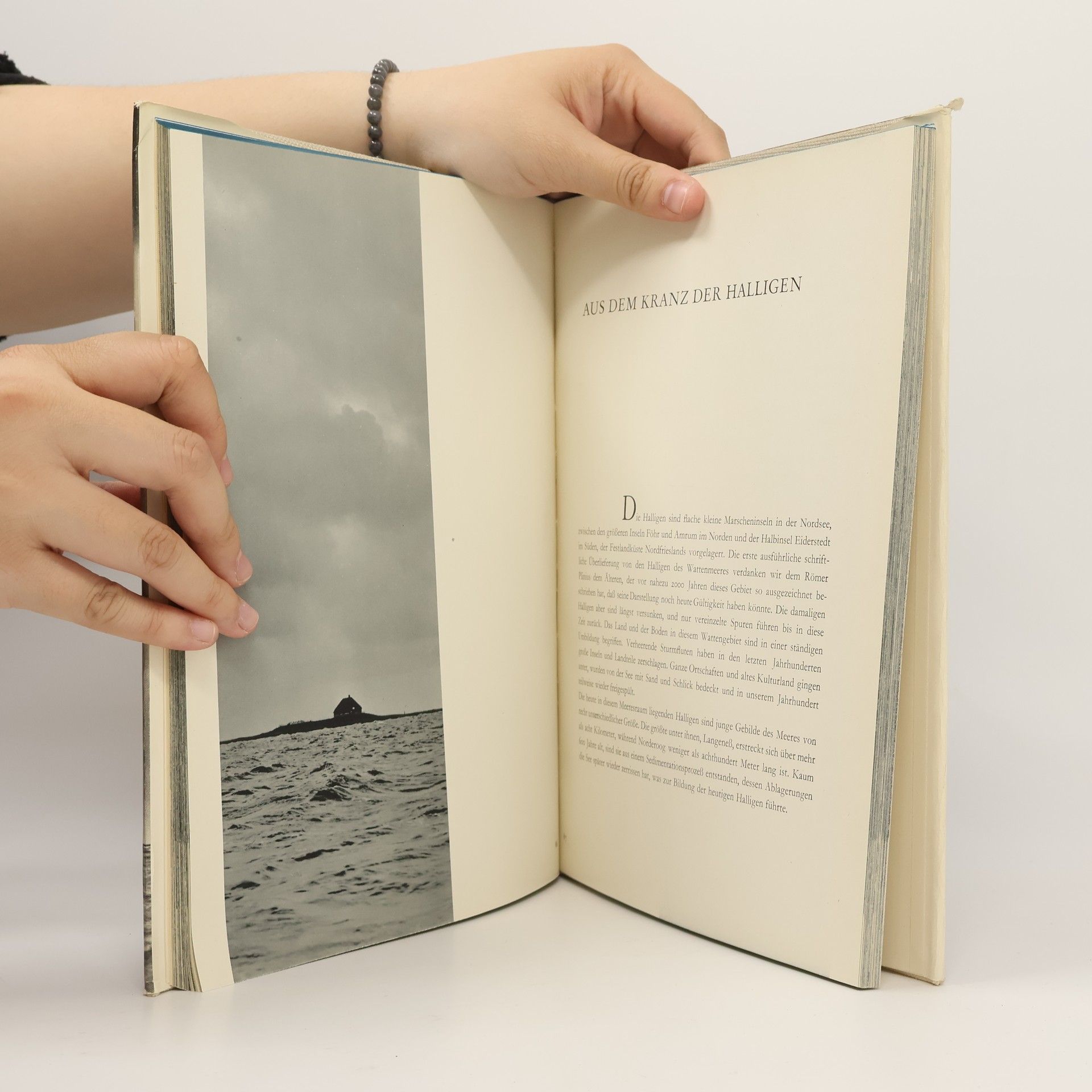 Autores varios Watten und Halligen