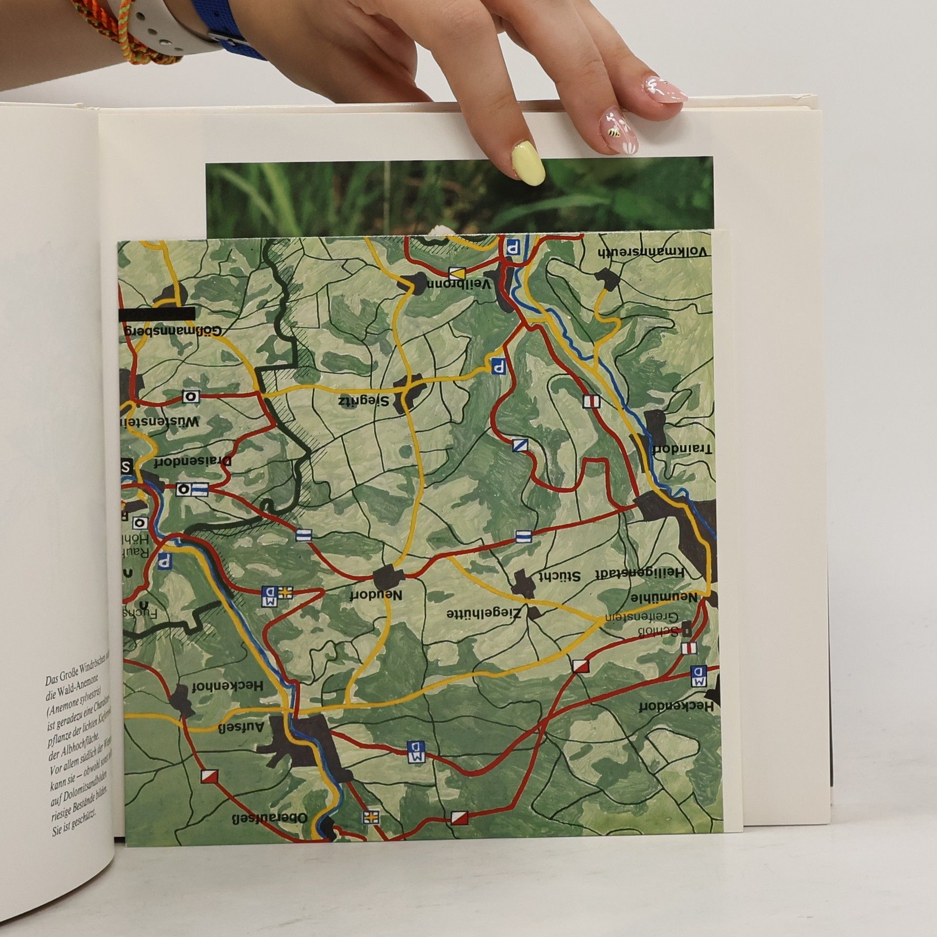 Erich Walter Wildpflanzen in der Fränkischen Schweiz und im Veldensteiner Forst